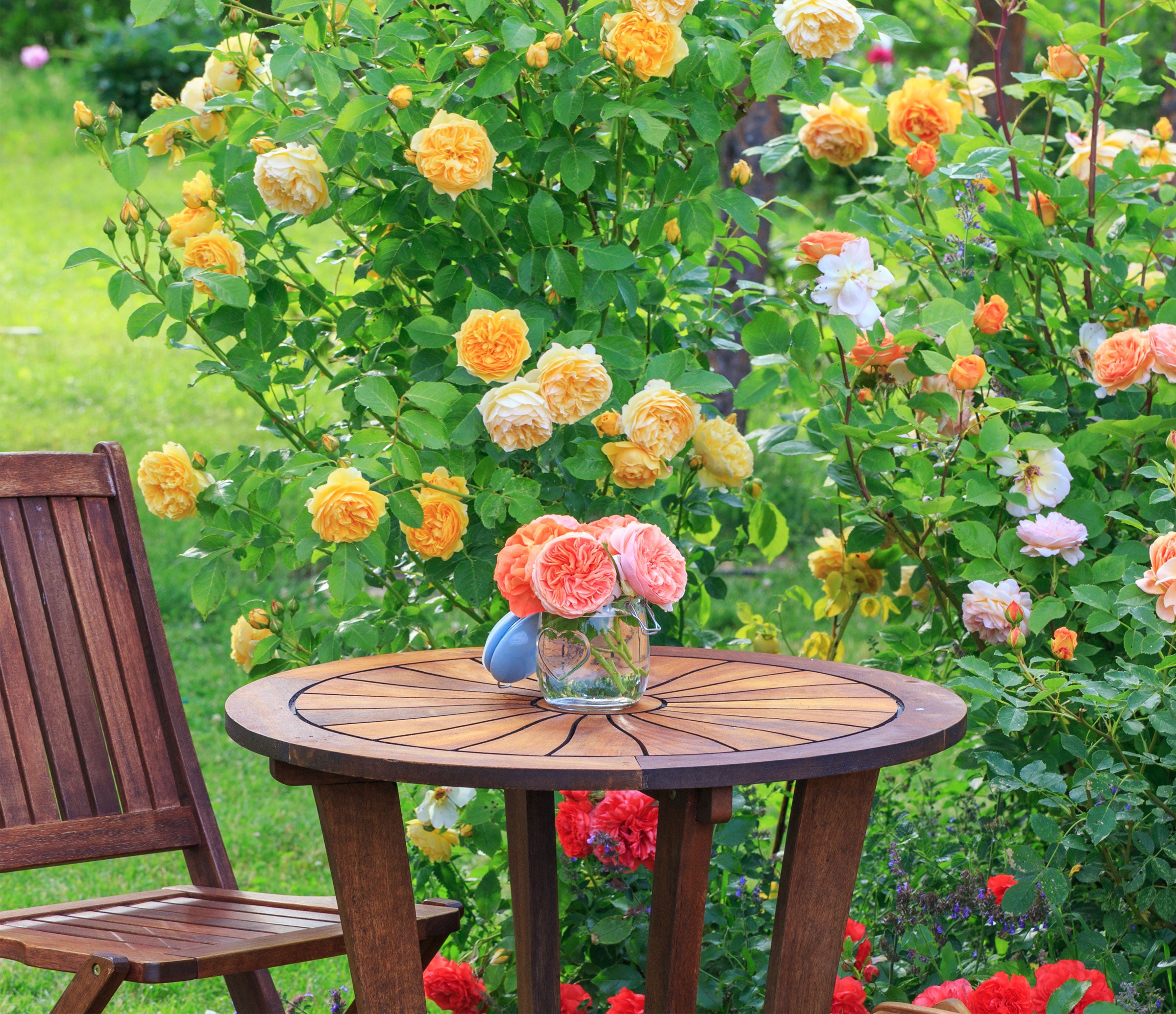 Fresh Garden Living Container Grown Roses and Herbs | Home Page