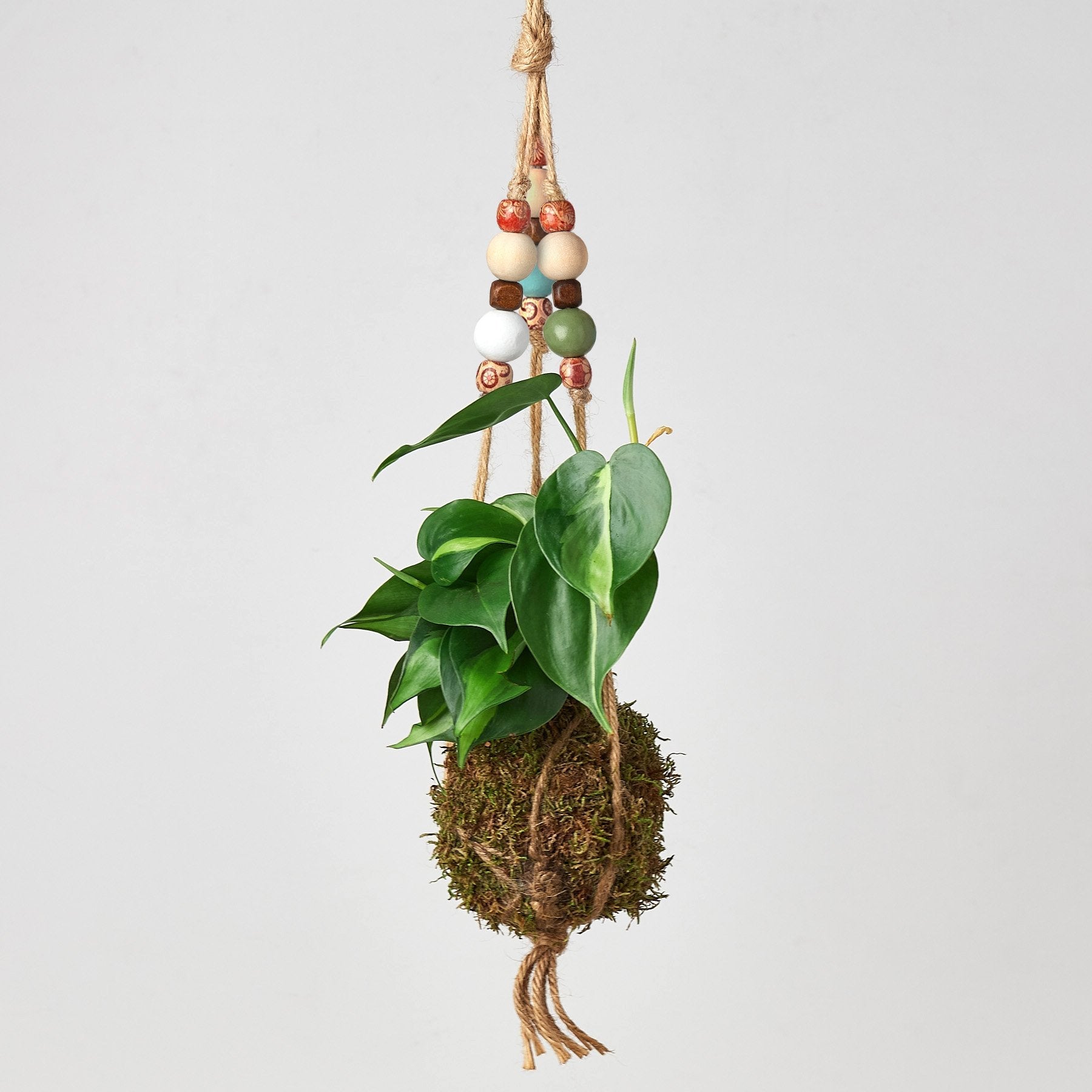 bead hanging plant Bead Kokedama Moss Ball Hanging Plant