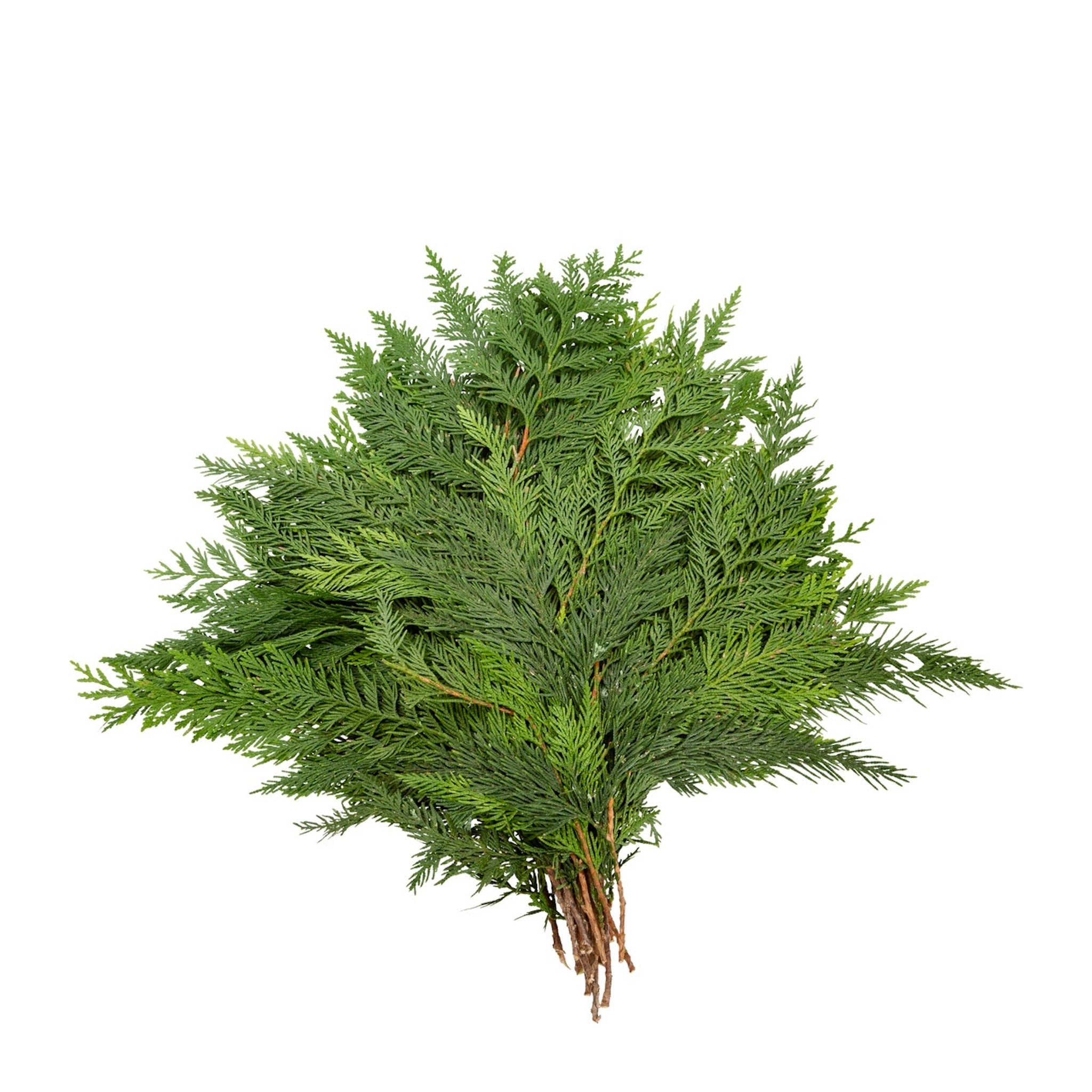 Holiday Bough Bundles
