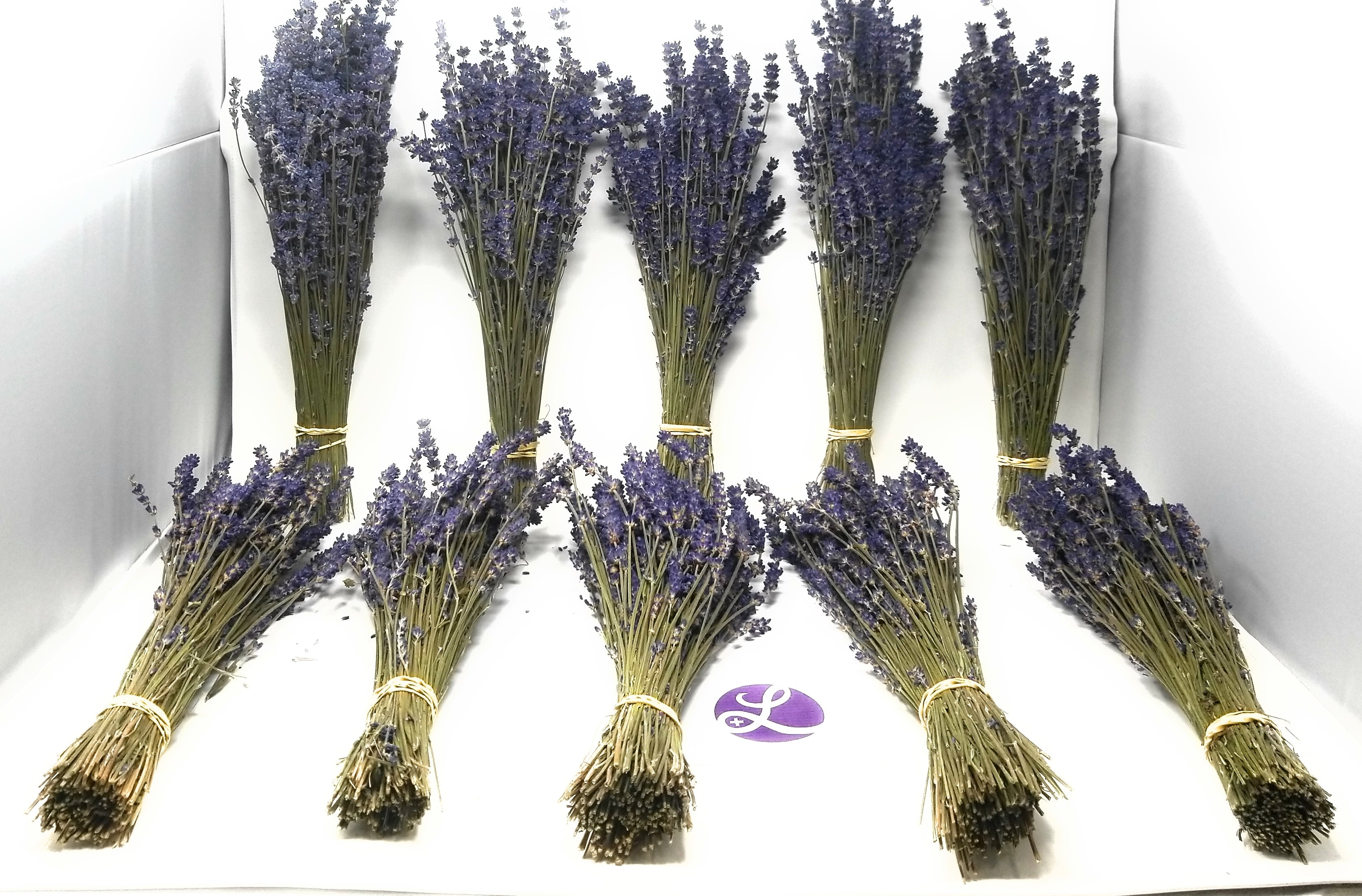 Royal Velvet Culinary Lavender Bundles - 10 Pack Food Grade Dried