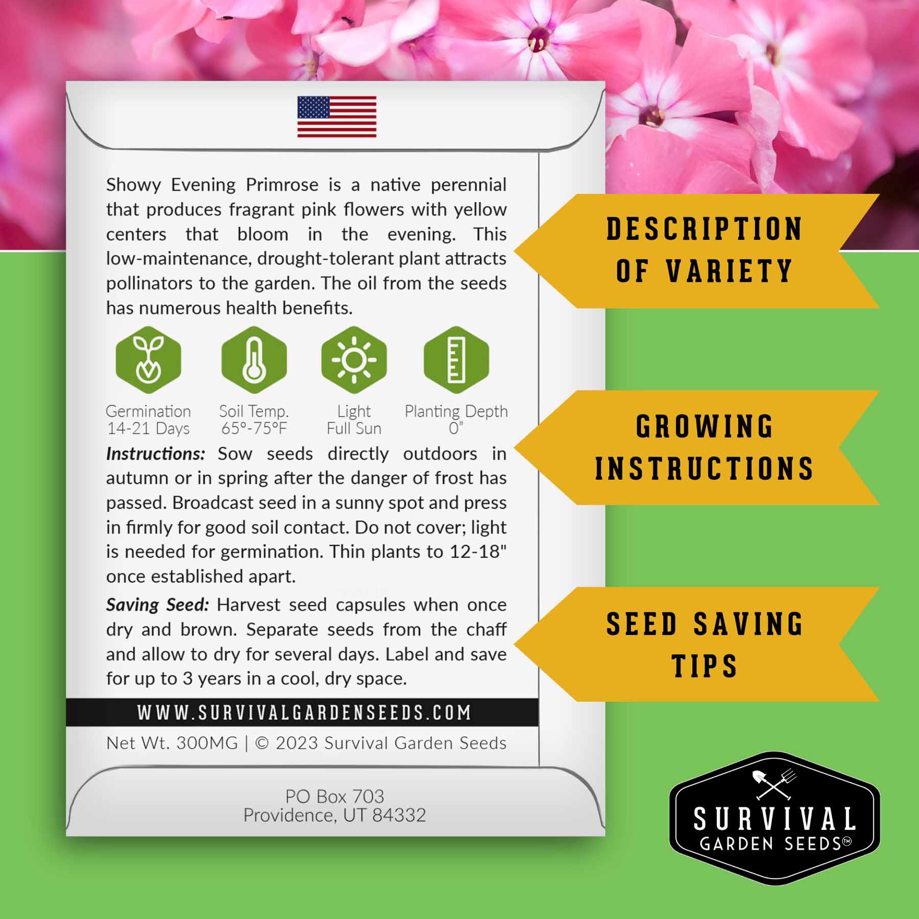 Functional Flower Garden Kit - 36 Seeds for Beauty, Bees & Wellness