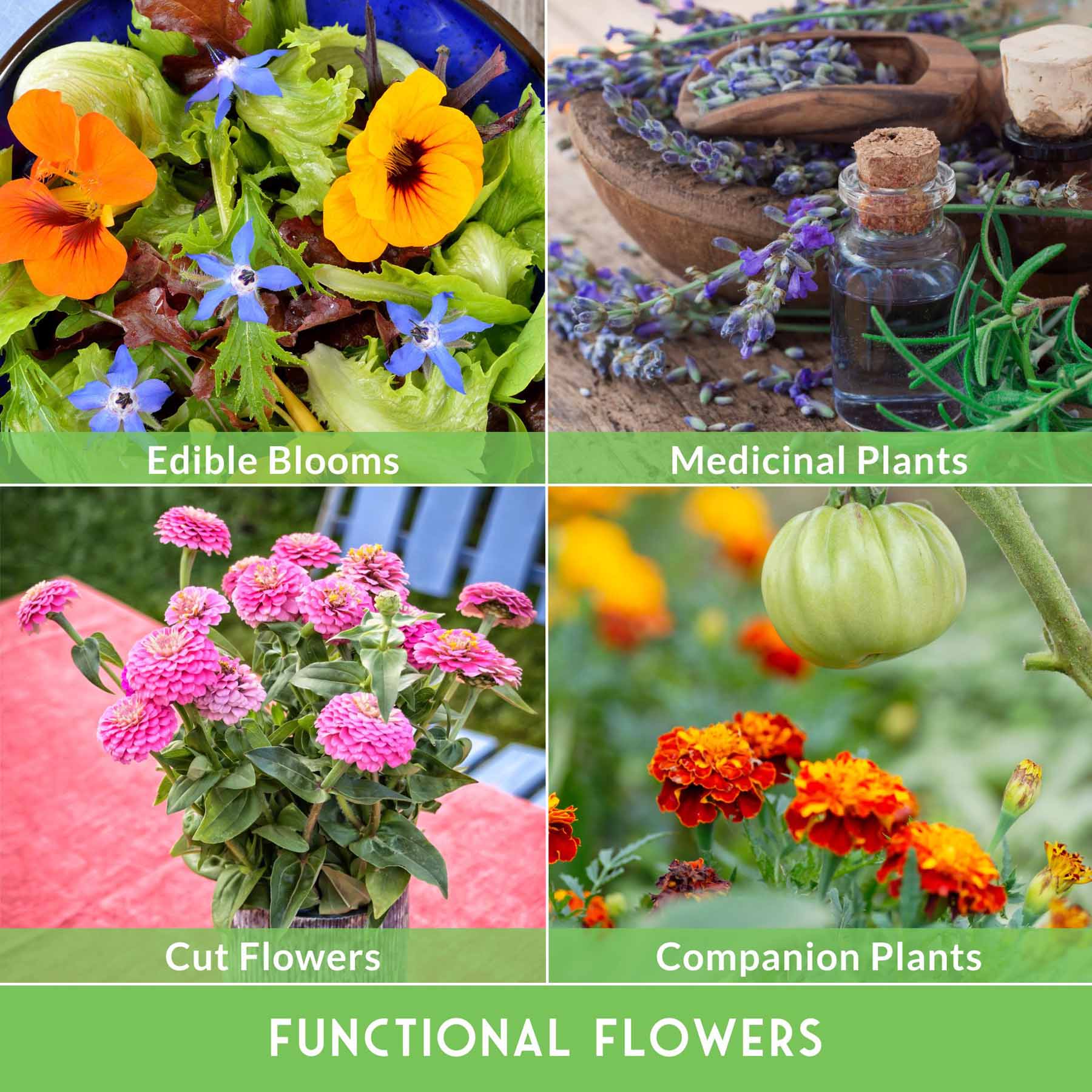 Functional Flower Garden Kit - 36 Seeds for Beauty, Bees & Wellness