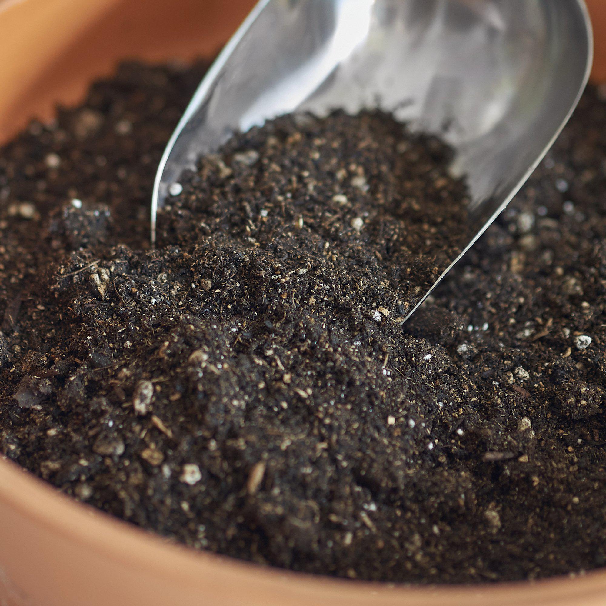 compressed potting mix Indoor Plant Potting Soil