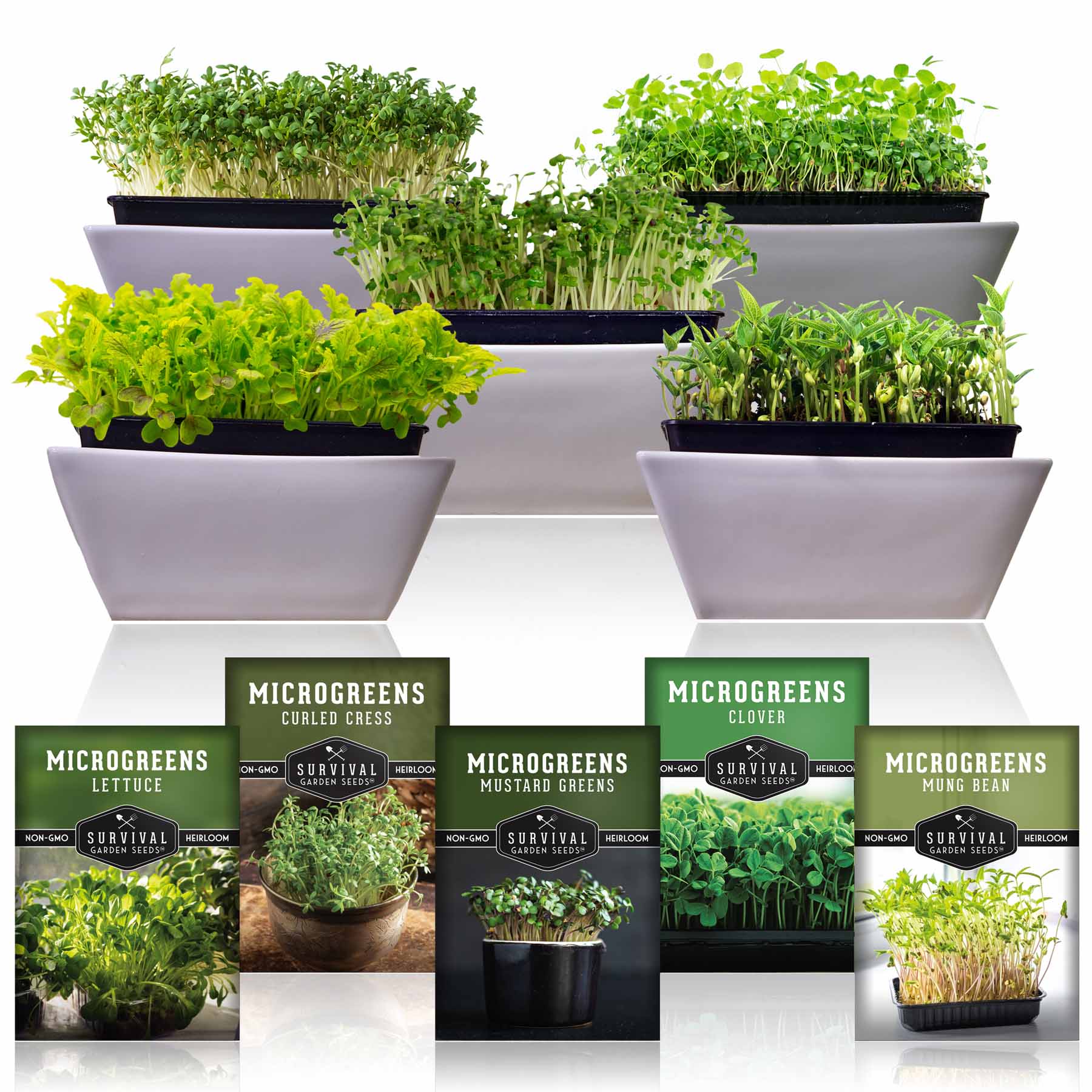 Microgreens Seeds Variety Pack – 5 Heirloom Non-GMO Microgreen Seed Packs for Indoor Growing & Sprouting