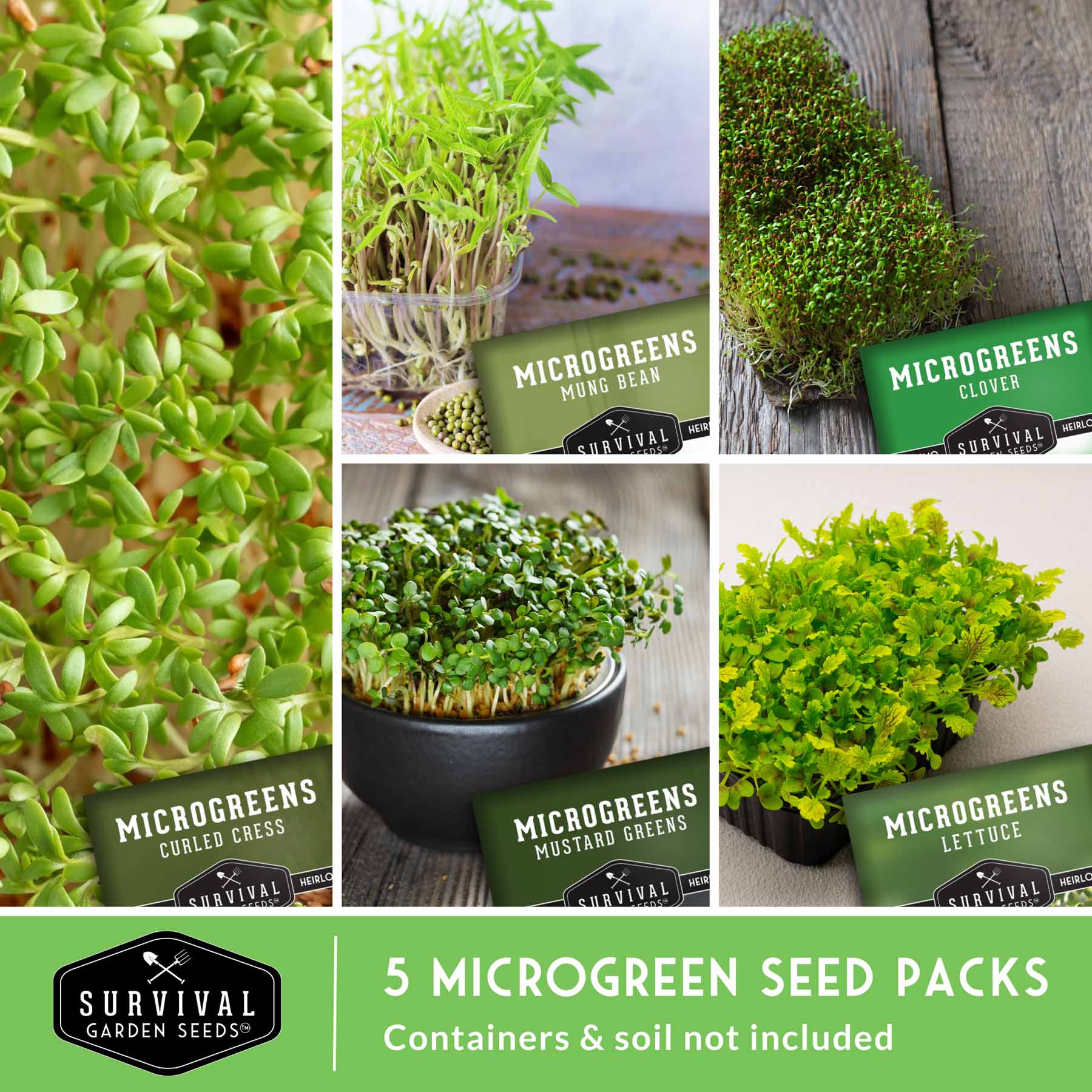 Microgreens Seeds Variety Pack – 5 Heirloom Non-GMO Microgreen Seed Packs for Indoor Growing & Sprouting