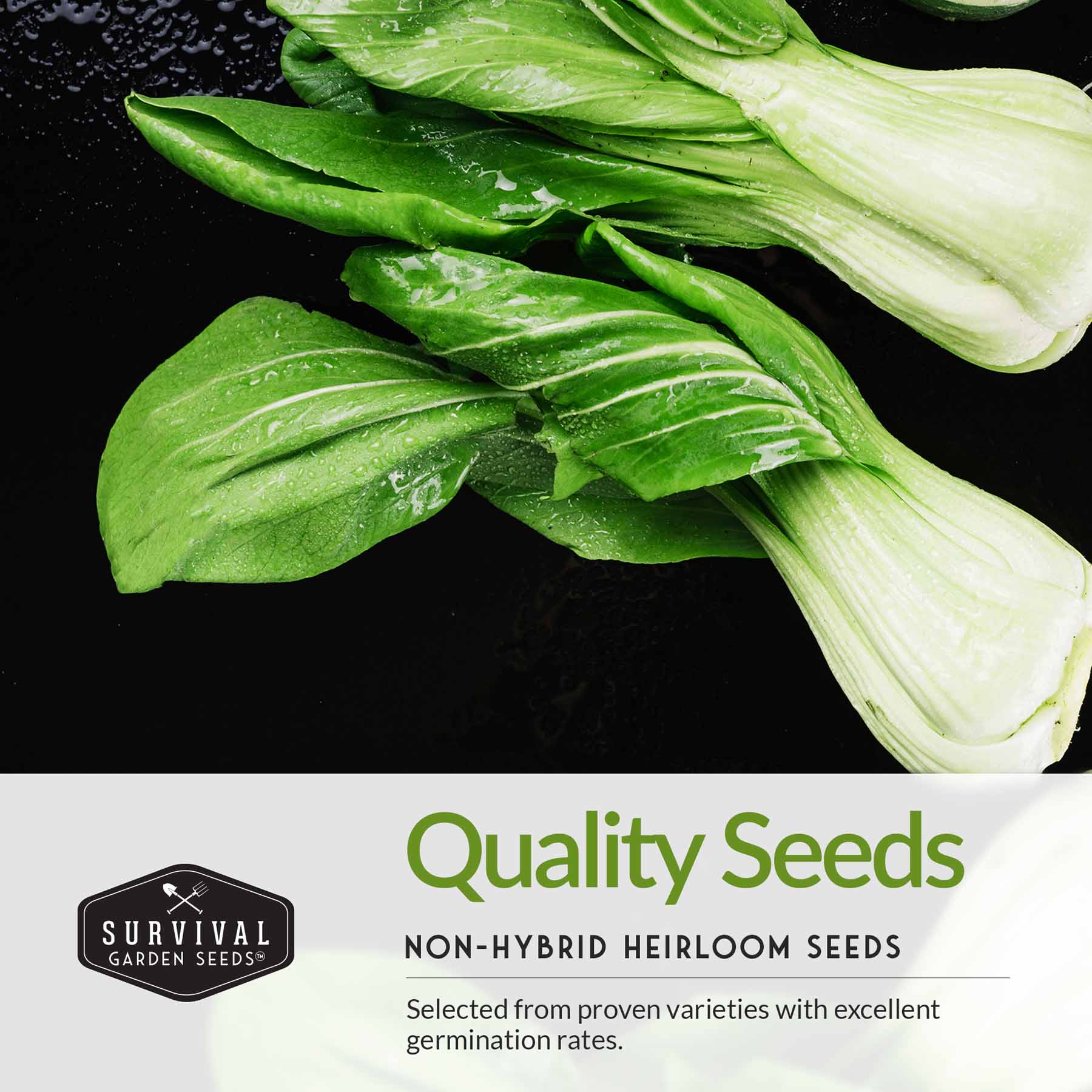 Asian Vegetable Seed Collection - 6 Vegetables for Asian Cuisine