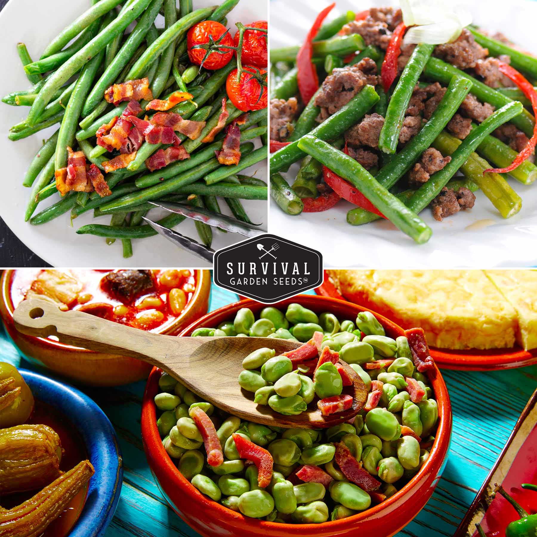 Bean Seed Collection - 3 Prolific Varieties