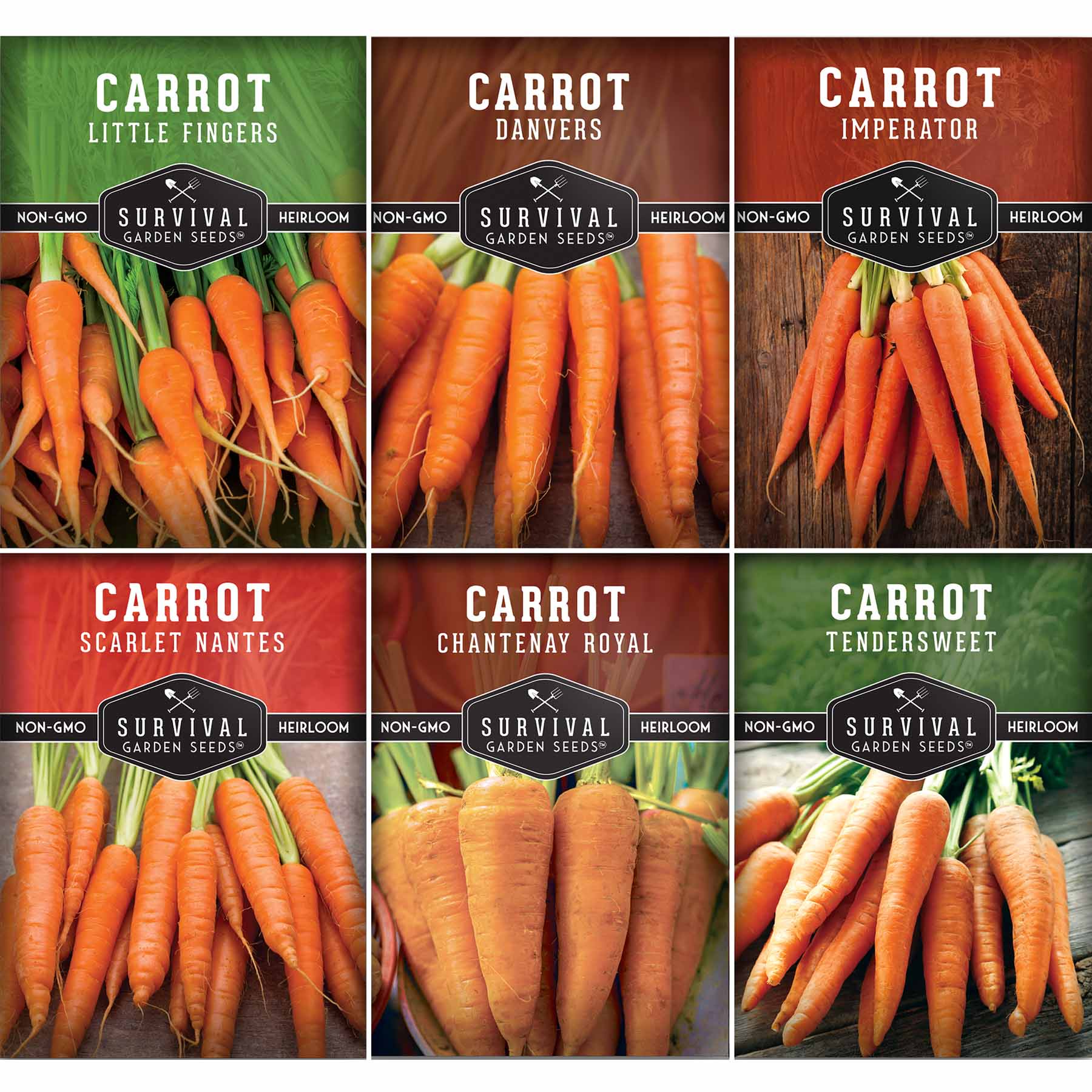 thumbnail image 2 of Fancy Nantes Carrot Seeds – 1000+ Non-GMO Seeds – Easy Grow, USA 2 of 5