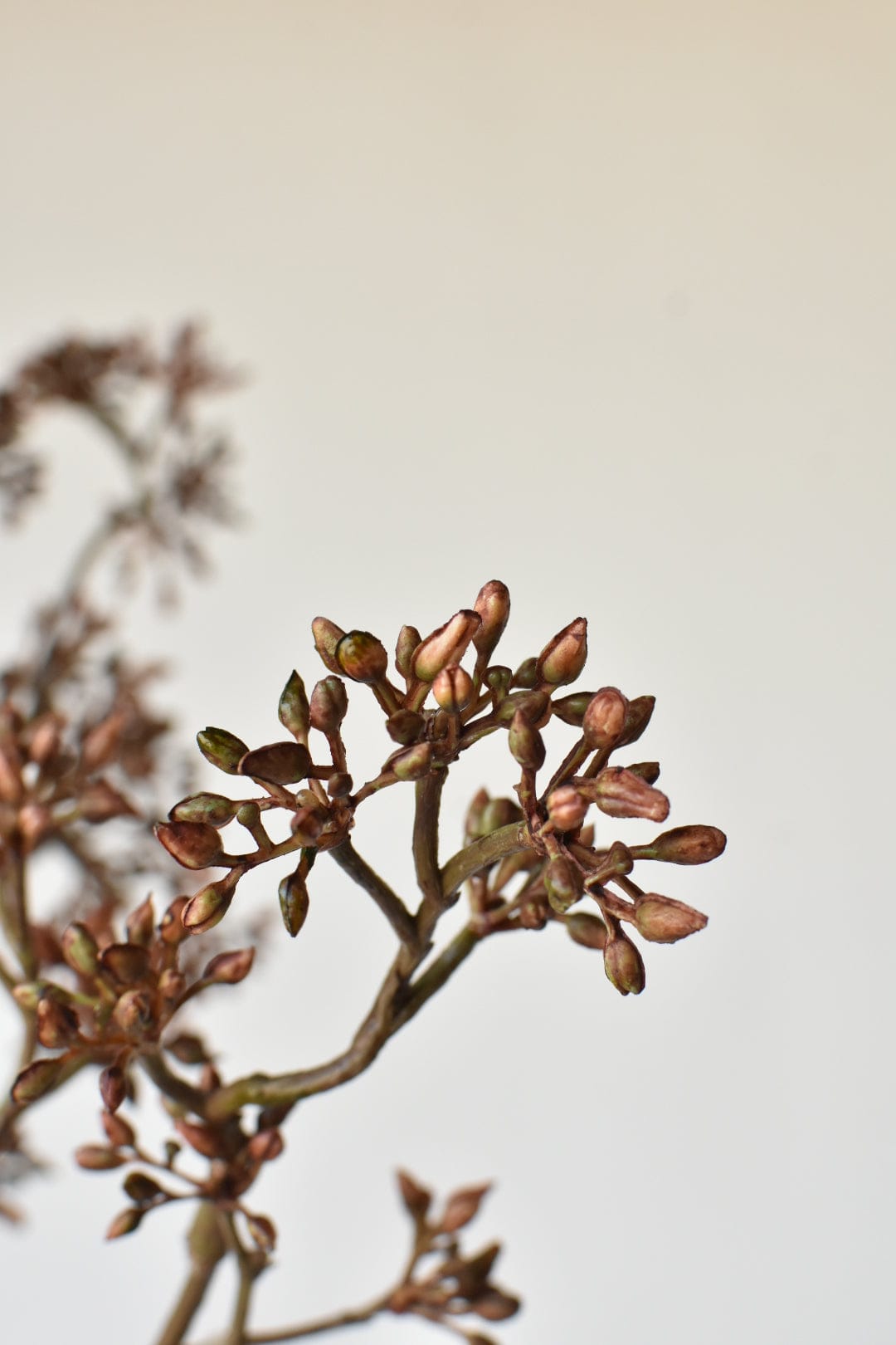 38" Faux Brown Sedum Berry Branch