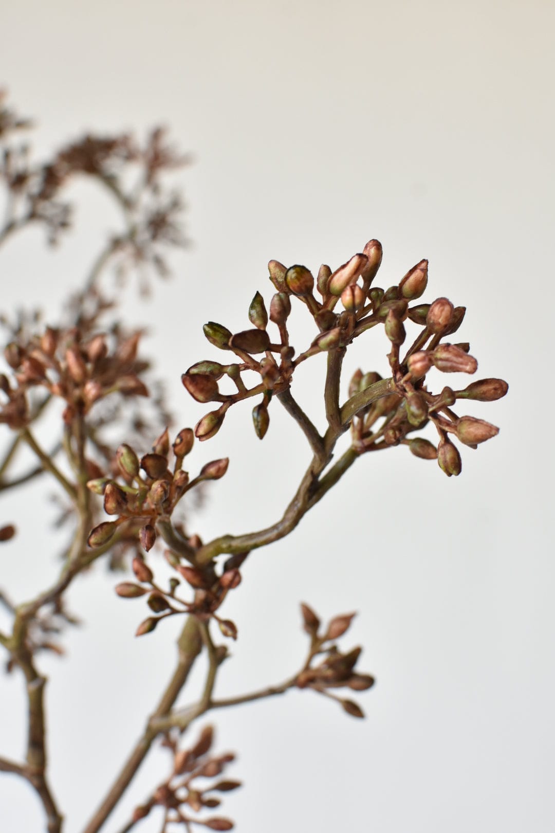 38" Faux Brown Sedum Berry Branch