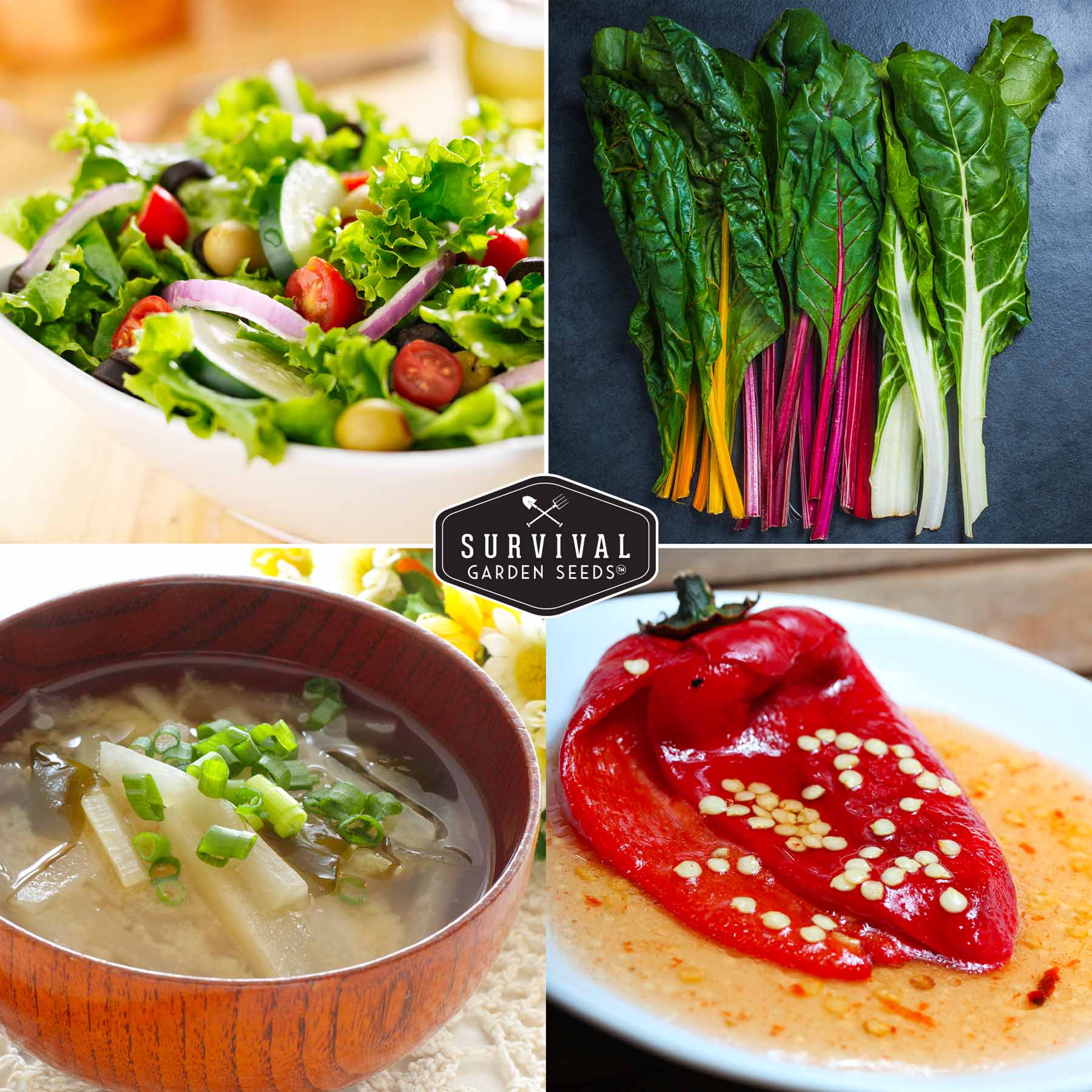 Easy-to-Grow Seed Collection - 10 Vegetable and Herb Seed Packets