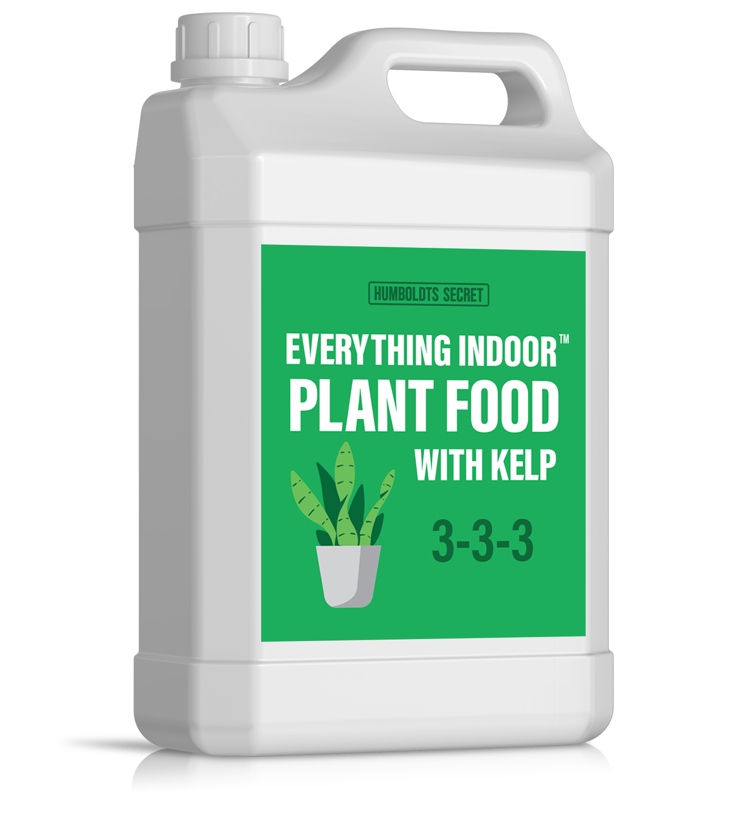 Everything Indoor