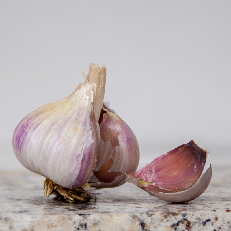 Music Garlic (Lb)
