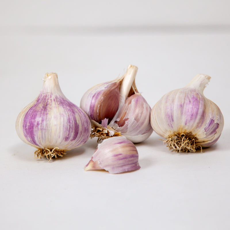 Music Garlic (Lb)