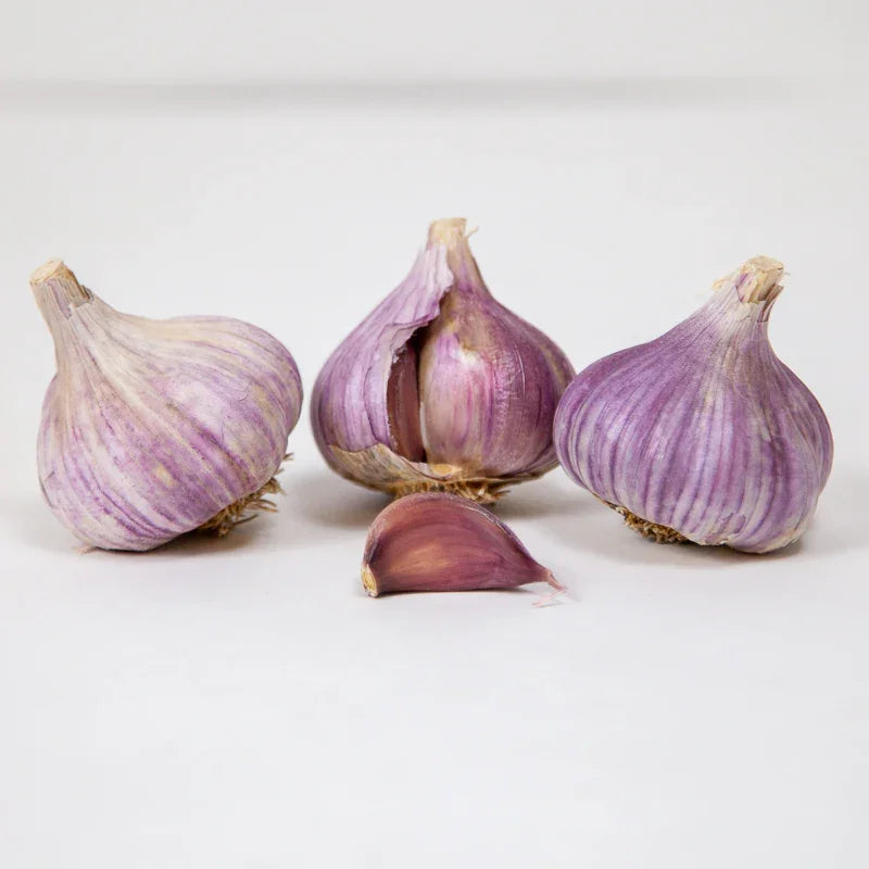 Organic Red Chesnok Garlic (lb)