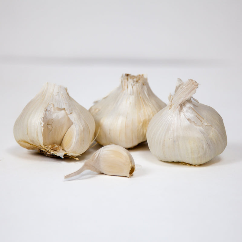 Organic Early Purple Italian Garlic (lb)