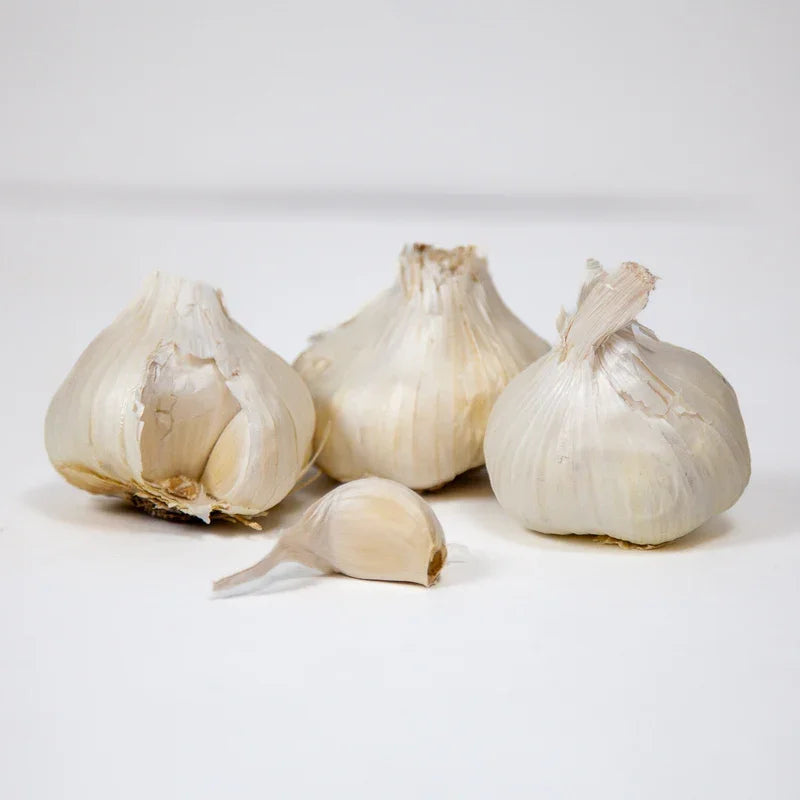 Organic Early Purple Italian Garlic (lb)