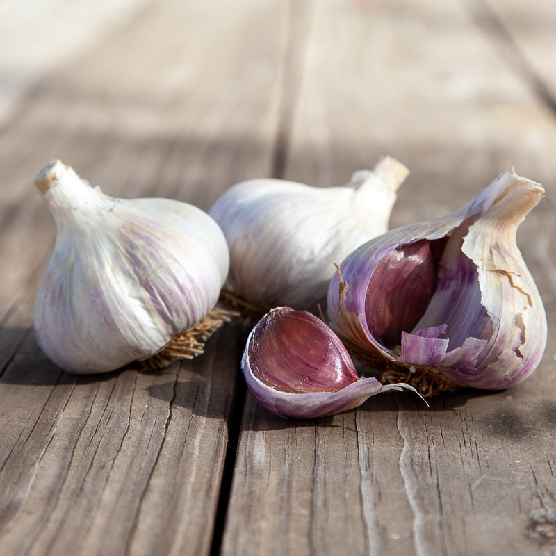 Organic German White Garlic (lb)