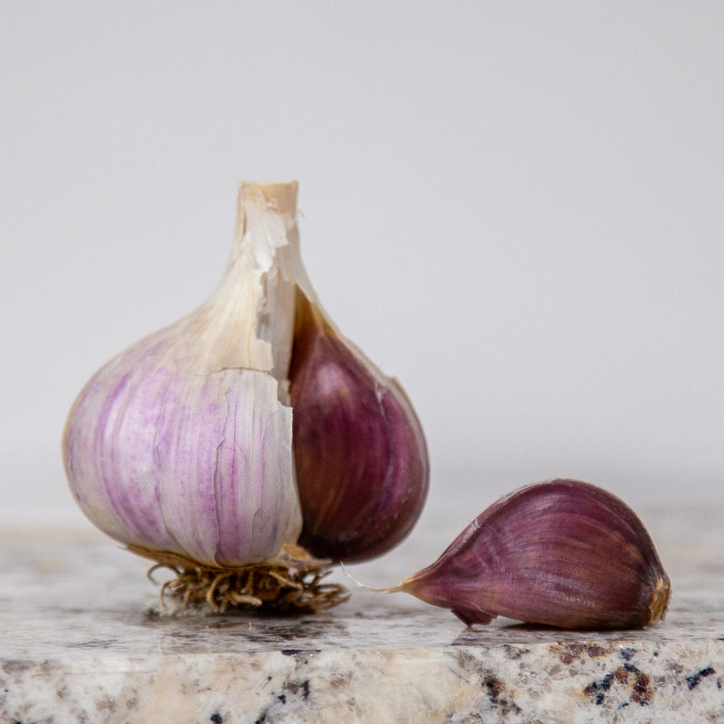 Organic German Xtra Hardy Garlic (Lb)
