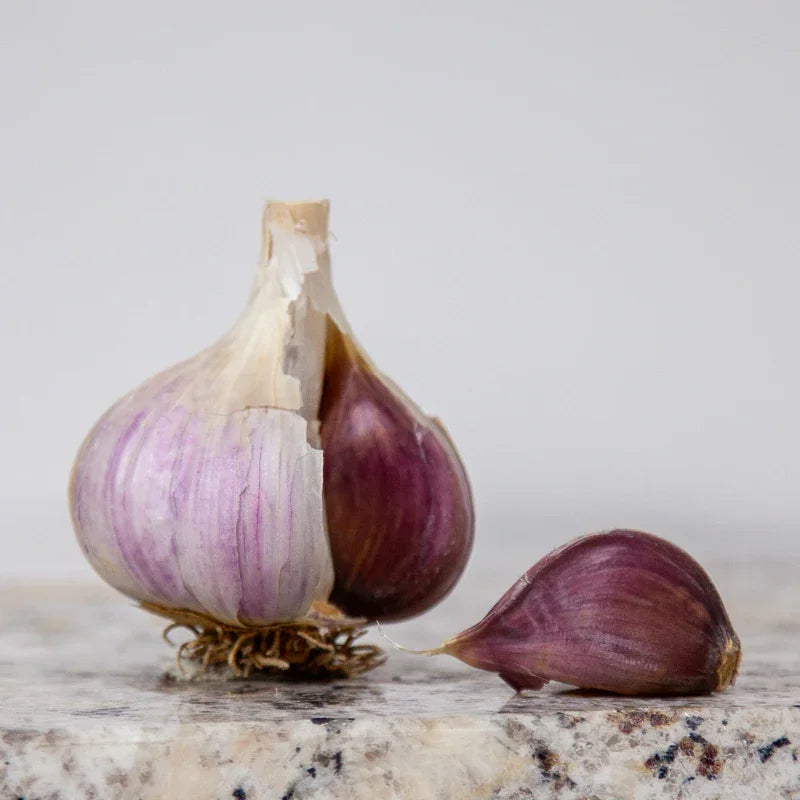 Organic German Xtra Hardy Garlic (Lb)