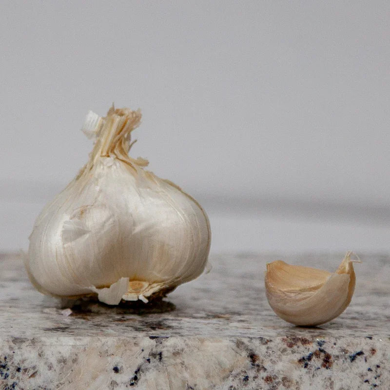 California Early White Garlic (Lb)