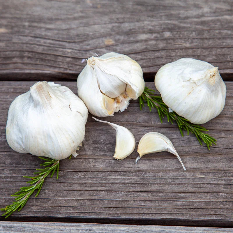 California Early White Garlic (Lb)