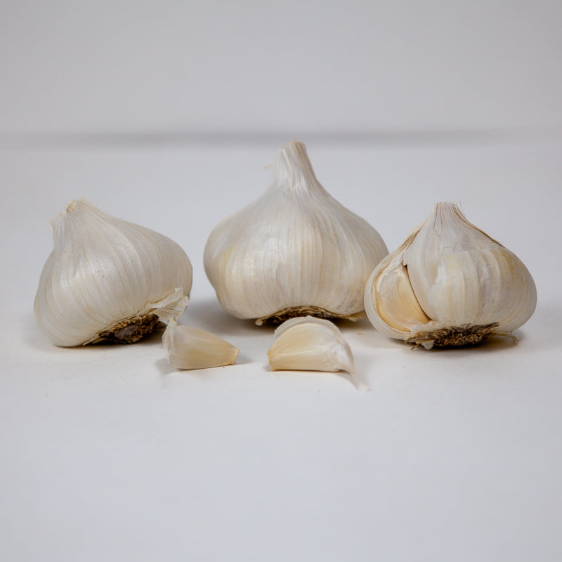 California Early White Garlic (Lb)