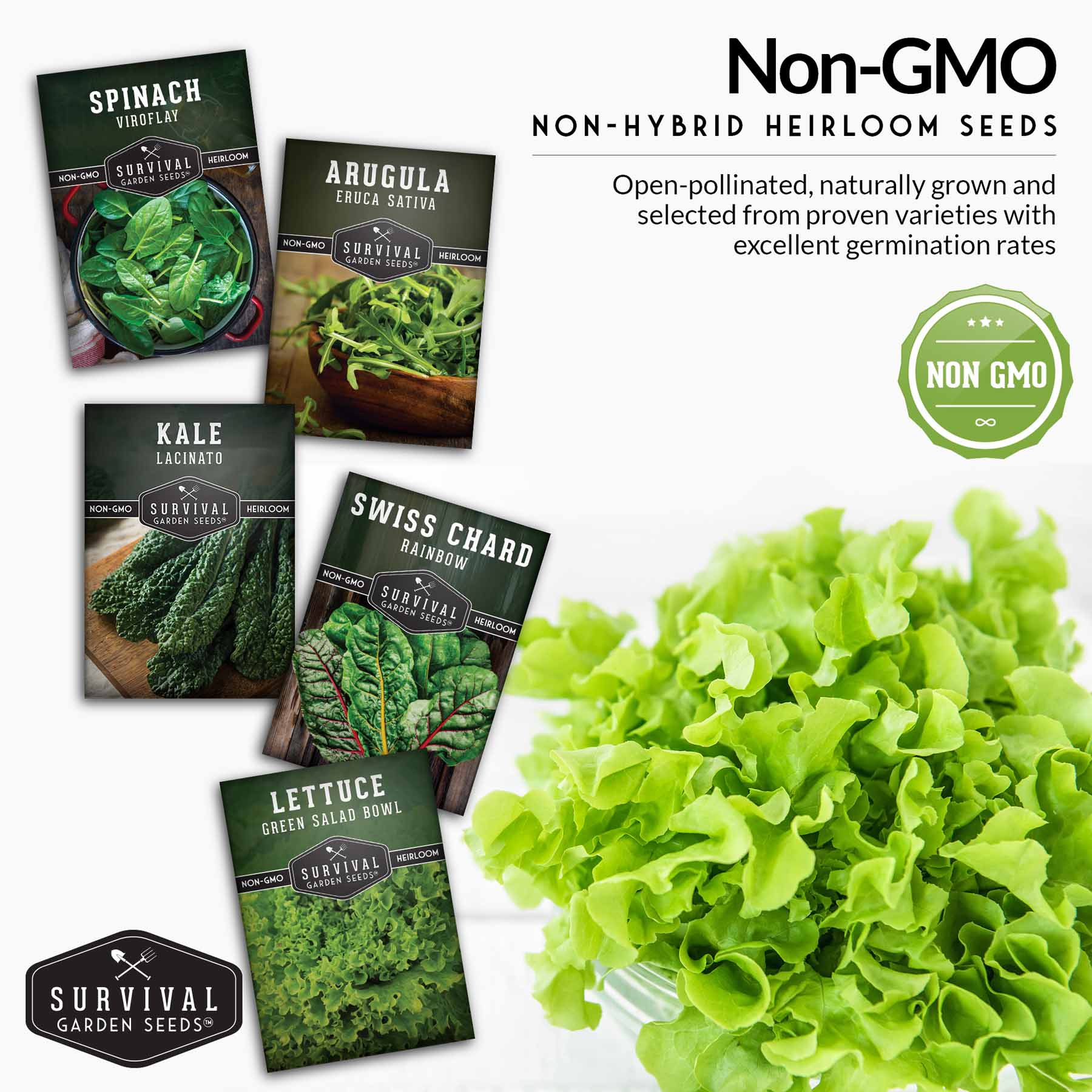 Greens Collection - Spinach, Arugula, Kale, Lettuce & Swiss Chard