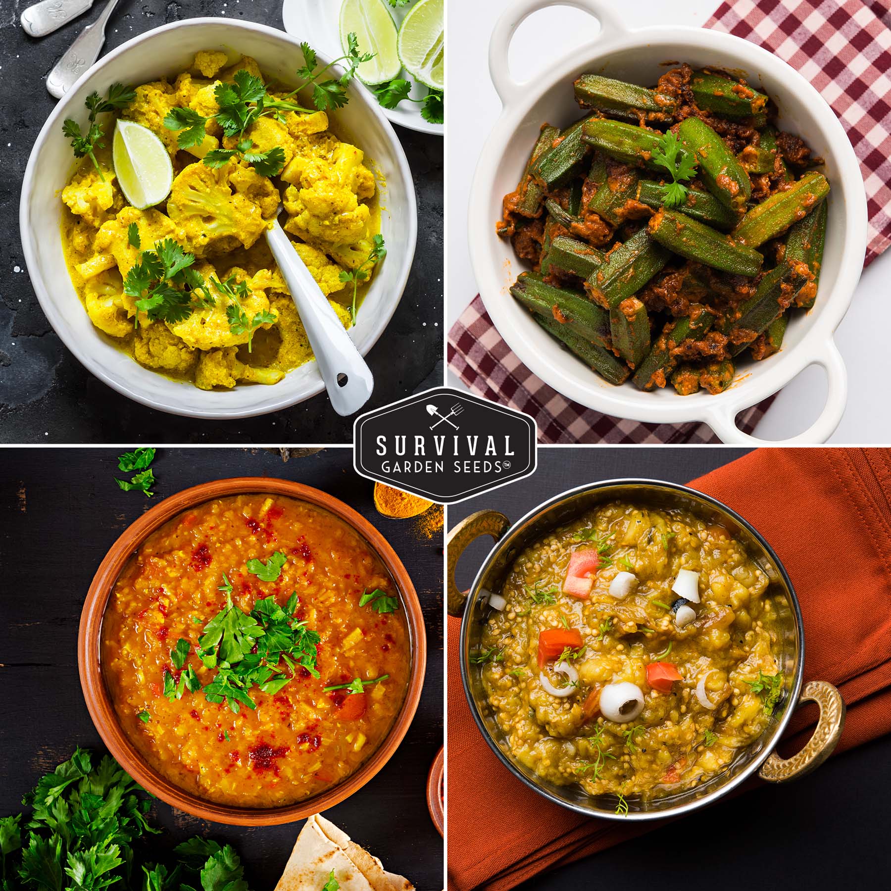 Indian Vegetable Seed Collection – 10 Heirloom Non-GMO Seeds for Authentic Indian Cuisine and Home Gardens