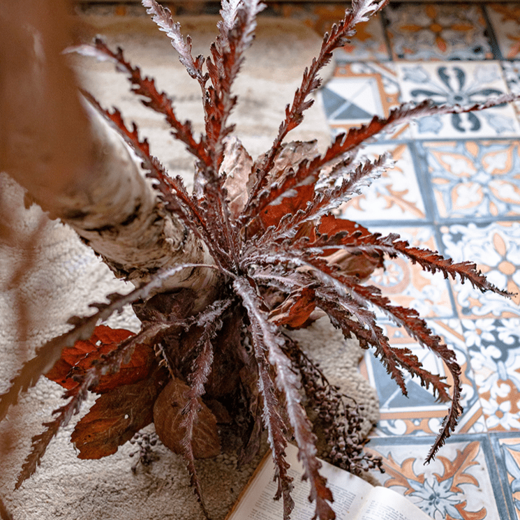 Artificial Spider Brake Fern Stem in Brown 43" Tall Faux