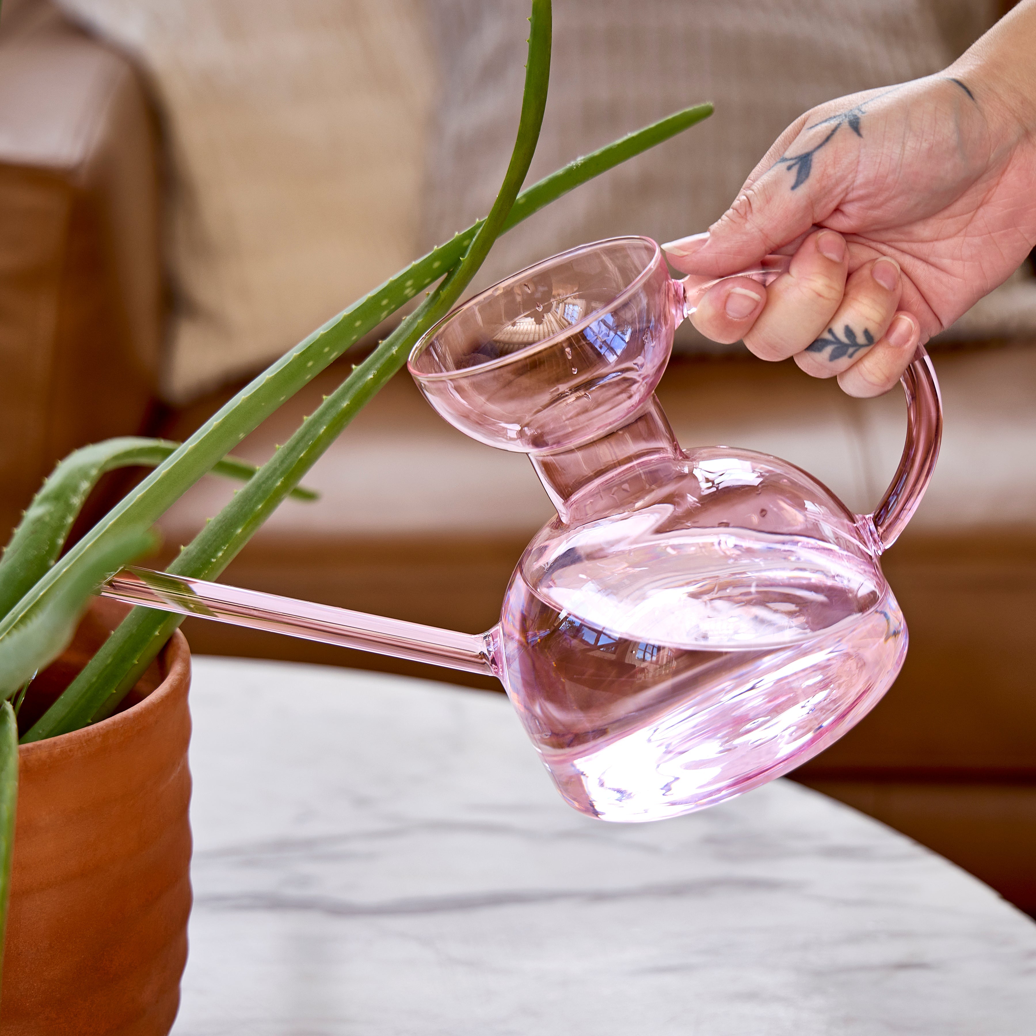 Glass Watering Can