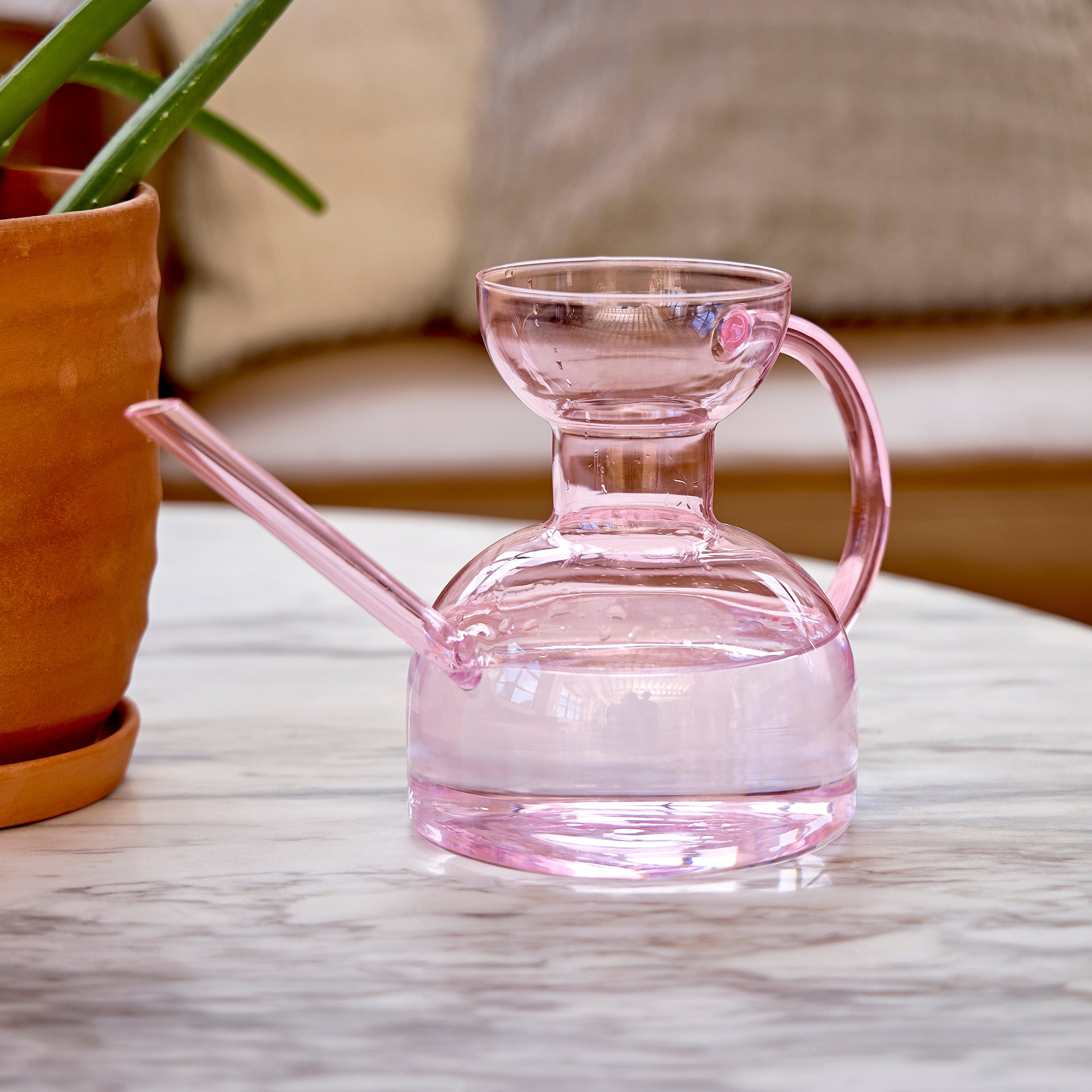 Glass Watering Can
