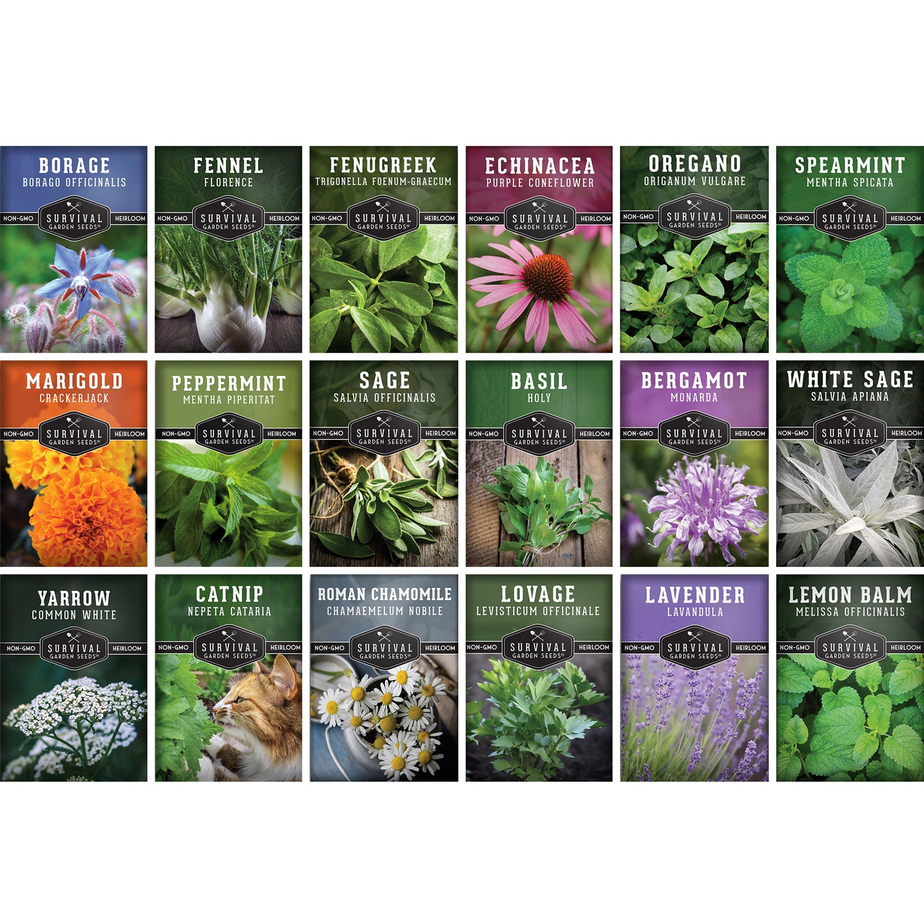 Medicinal Herb Seeds Collection – 18 Heirloom Non-GMO Herbs for Wellness, Tea & Home Apothecary Gardens (Lavender, Chamomile, Echinacea, Peppermint, Sage & More)