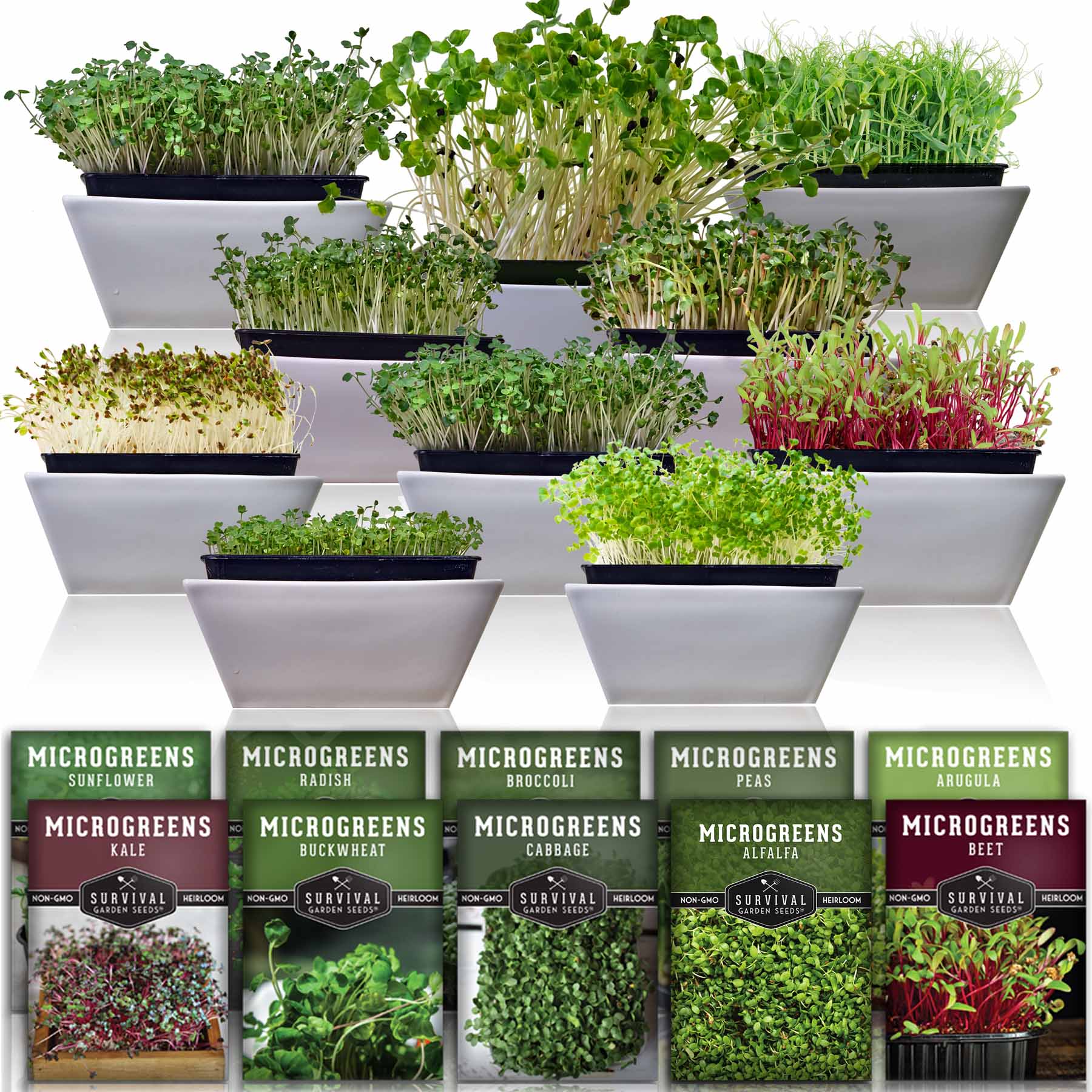 10-Variety Heirloom Microgreen Seed Pack – Non-GMO Seeds for Indoor Growing, Sprouting & Year-Round Nutrition