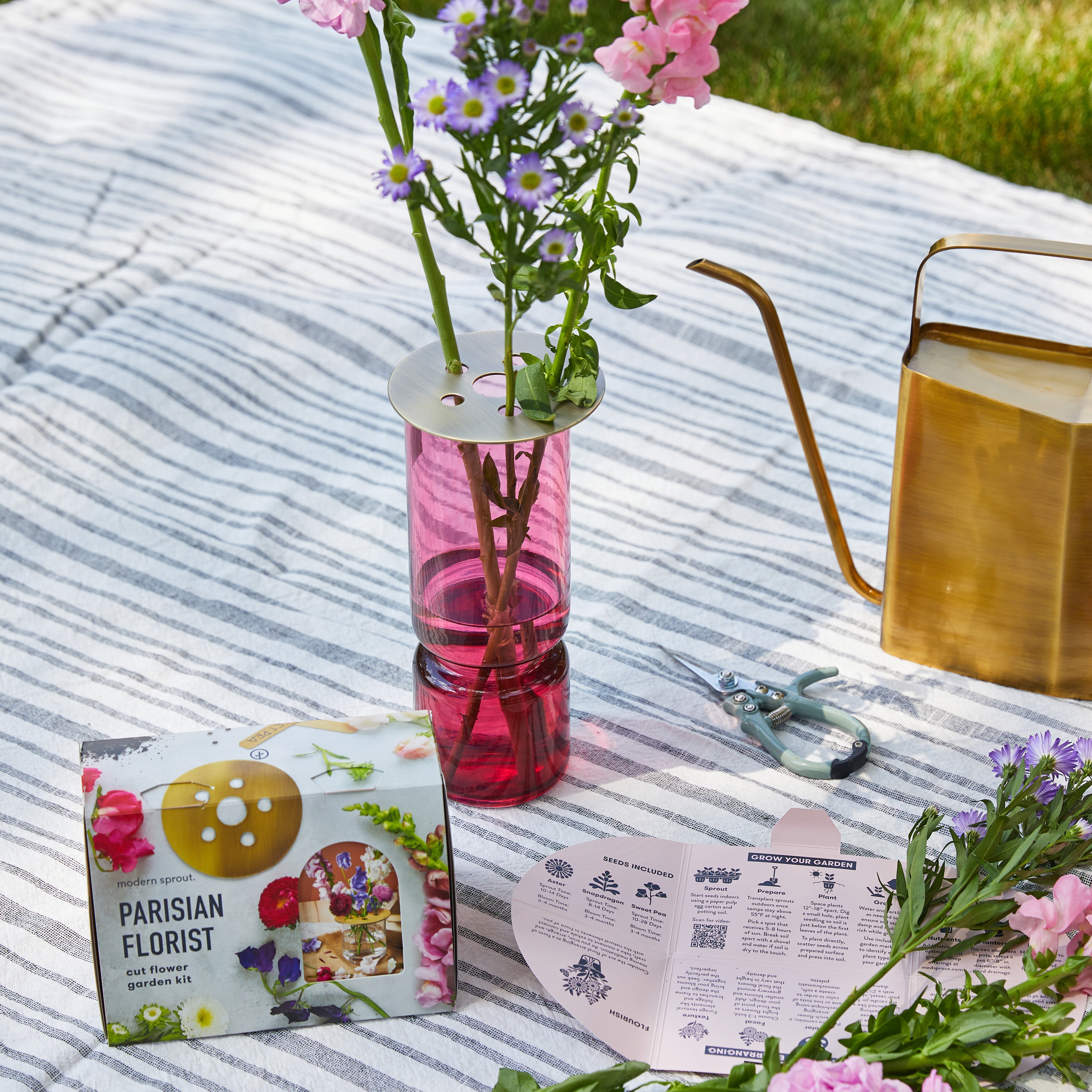 Seed Collection + Accessories