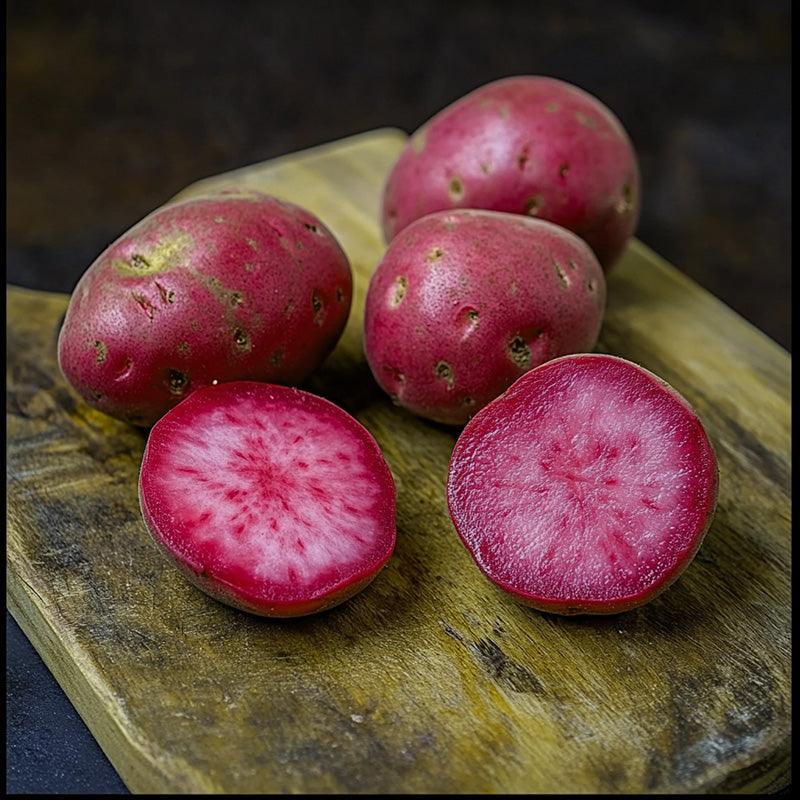 Organic Raspberry Seed Potato (lb)
