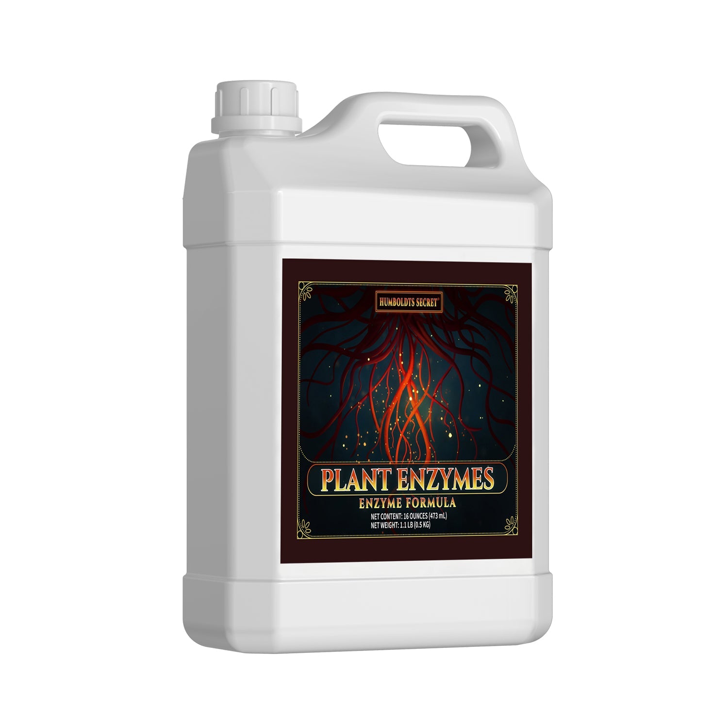 Plant Enzymes