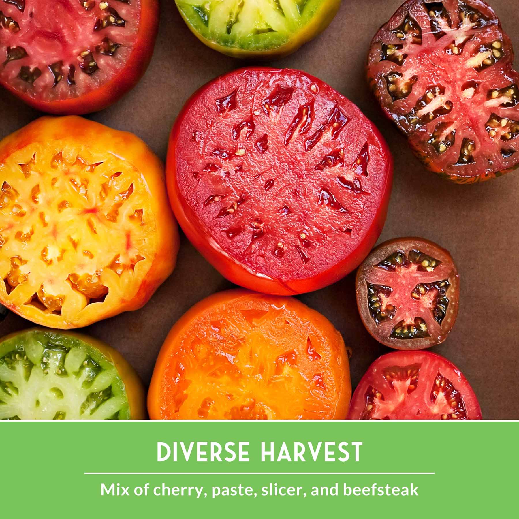 10 Tomato Seed Collection - A Rainbow of Heirloom Tomato Varieties