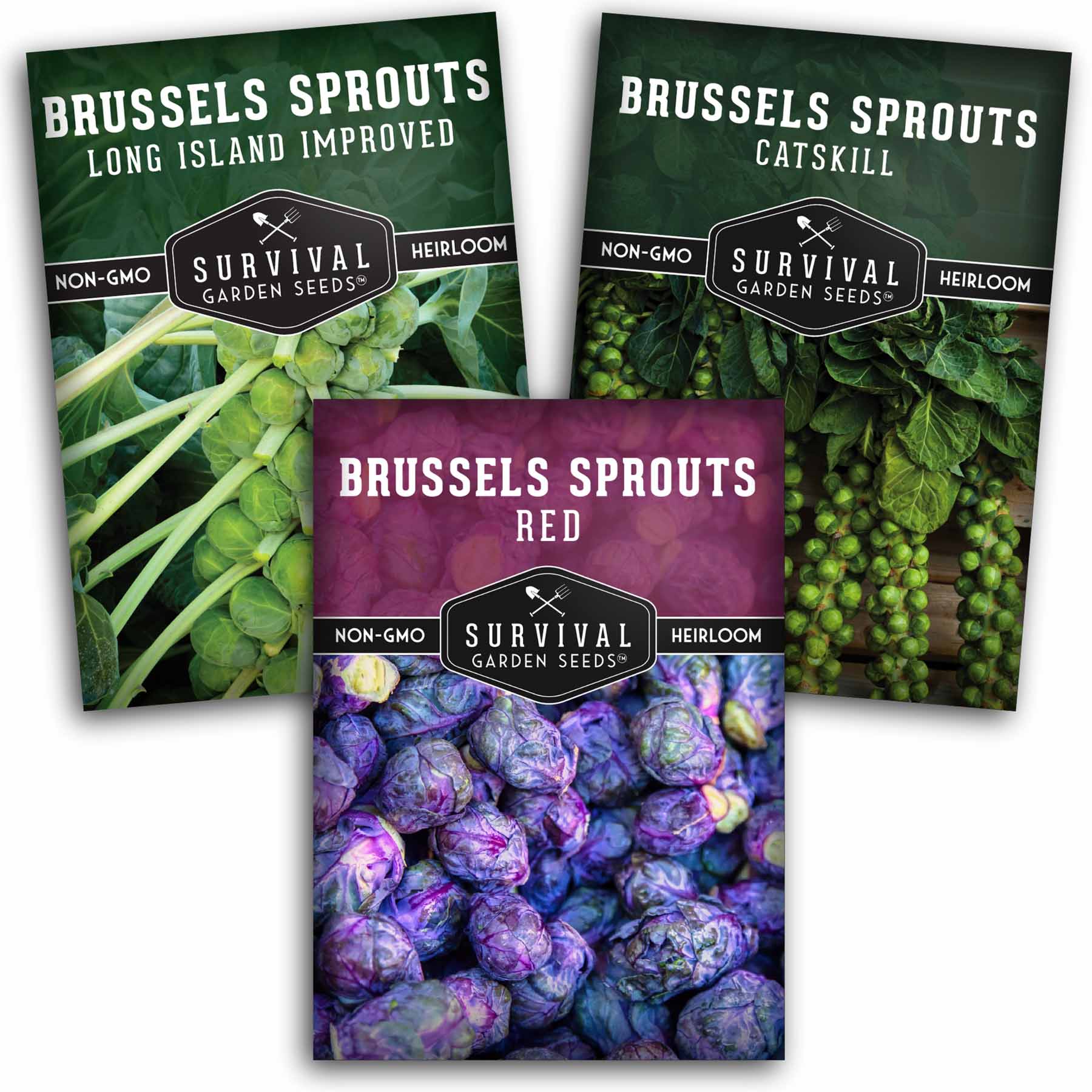 Brussels Sprouts Seed Collection – Red, Catskill & Long Island Improved Heirlooms for Cool-Season Harvests