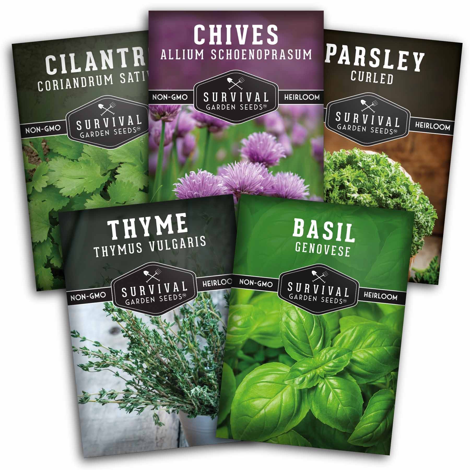 Culinary Herb Seed Collection – 5 Essential Kitchen Herbs for Indoor or Outdoor Growing