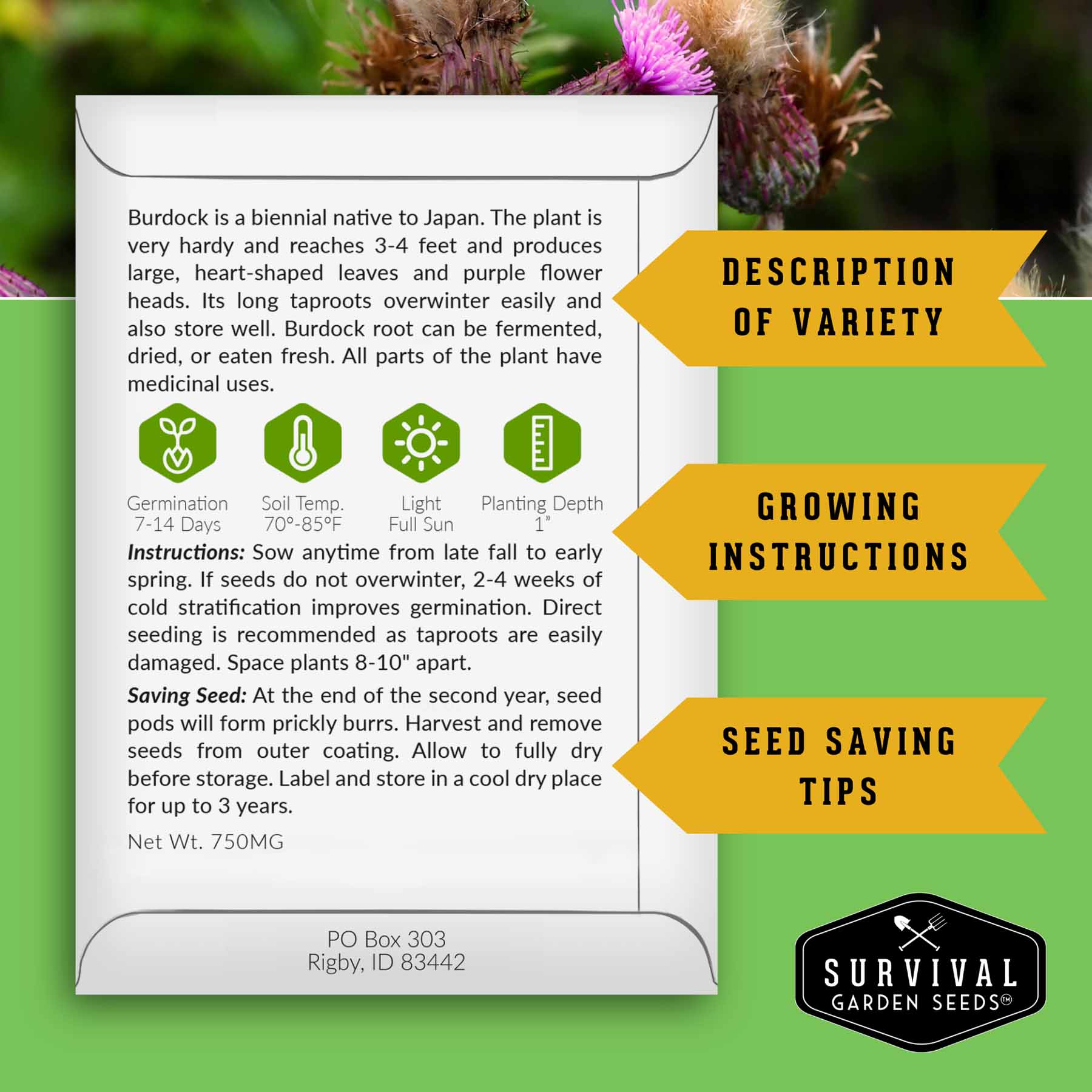 Herbalist Bundle – 8-Varieties of Heirloom Perennial & Biennial Healing Plants for Advanced Apothecary Gardens