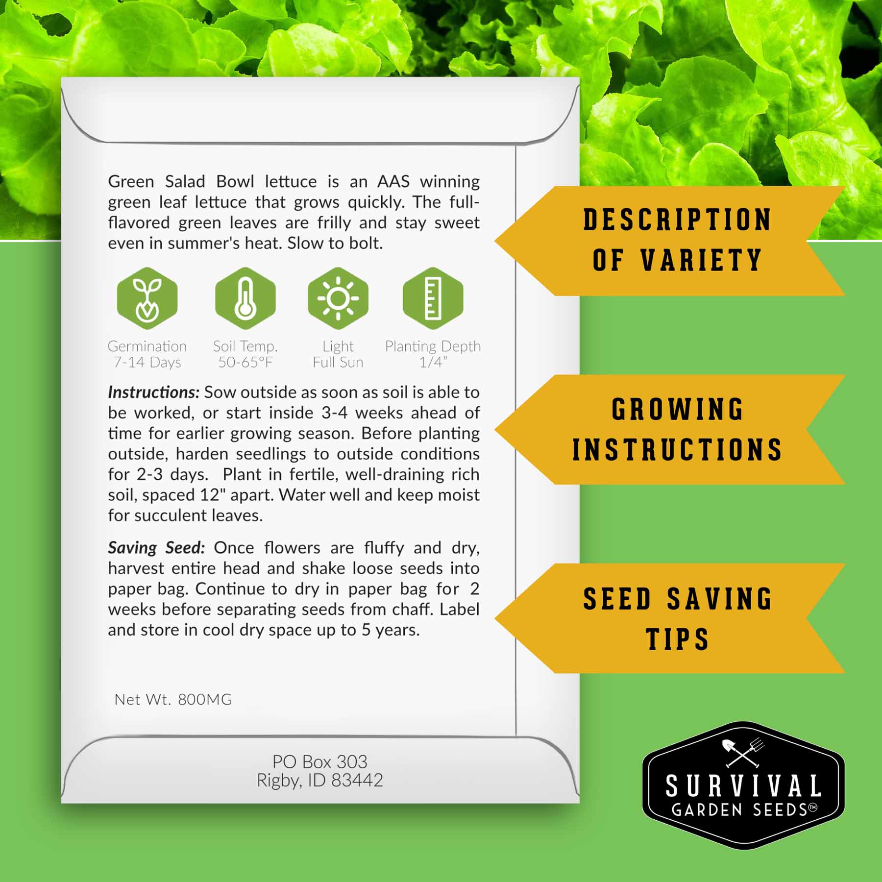 Hydroponic Vegetable Seeds Kit – 6 Heirloom Leafy Greens for Aerogardens, Towers & Indoor Year-Round Growing