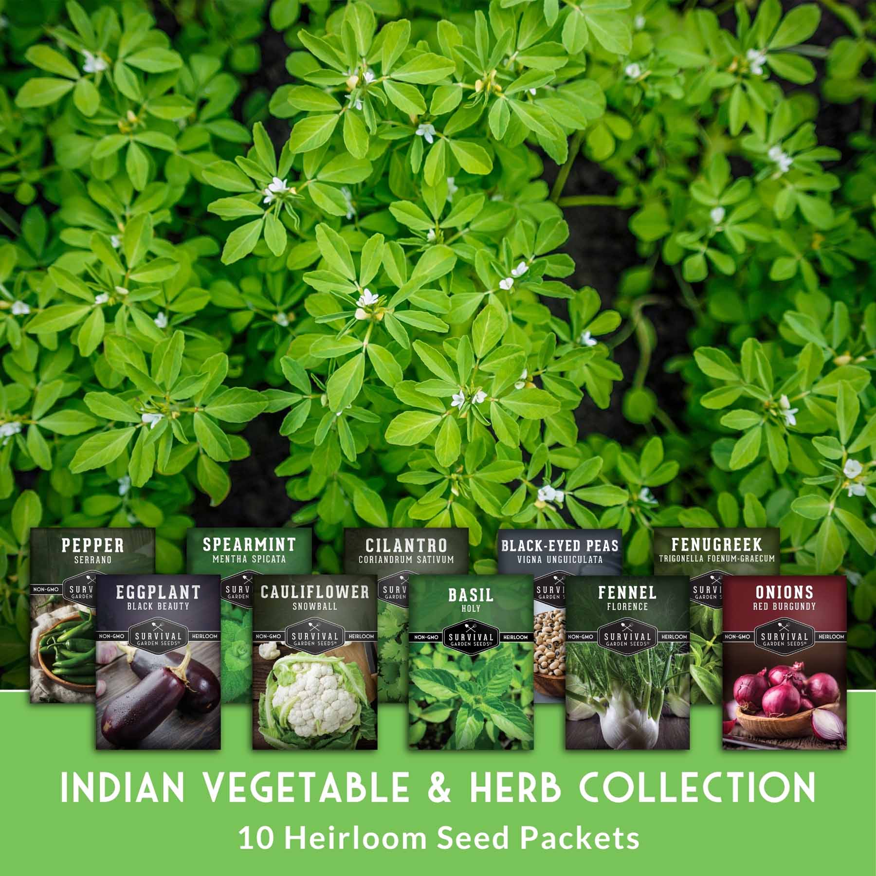 Indian Vegetable Seed Collection – 10 Heirloom Non-GMO Seeds for Authentic Indian Cuisine and Home Gardens