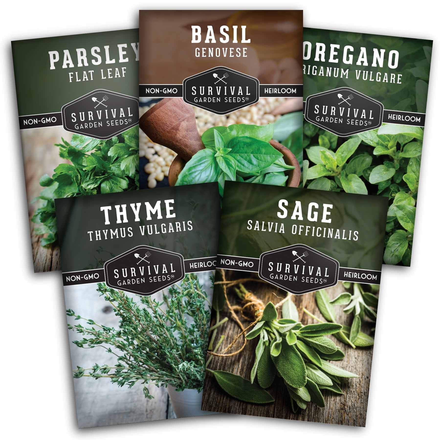 Italian Herb Seeds Collection – Genovese Basil, Oregano, Thyme, Sage, and Flat-Leaf Parsley for Indoor or Outdoor Culinary Gardens