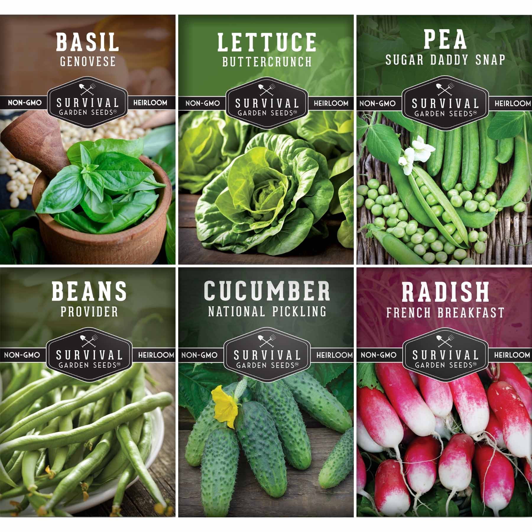 Kid’s Easy Garden Seed Collection – 6 Fast-Growing Vegetables & Herbs for Beginner Gardeners