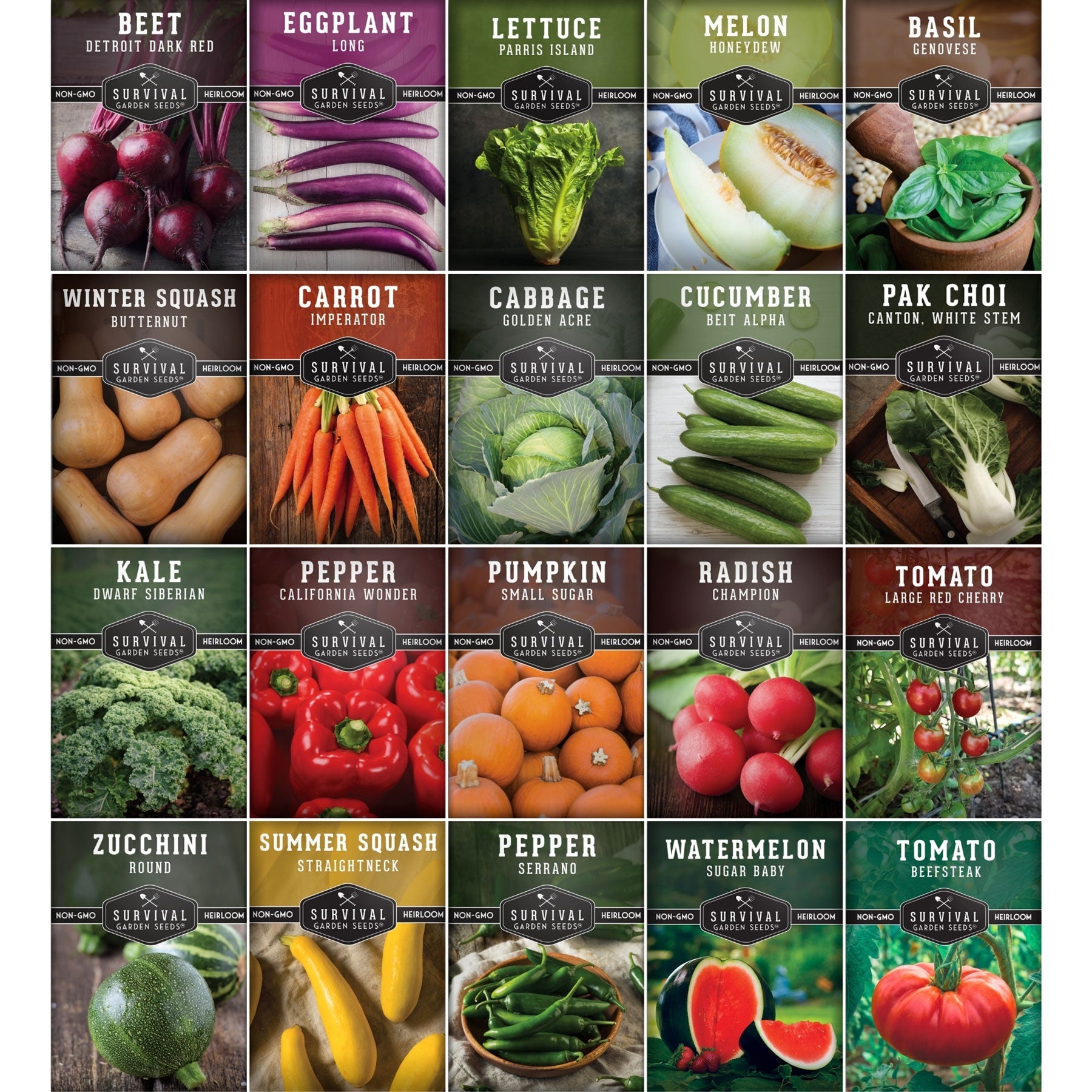 20 Variety Vegetable Garden Starter Seed Collection – Non-GMO Heirloom Kit for Beginner-Friendly Home Growing