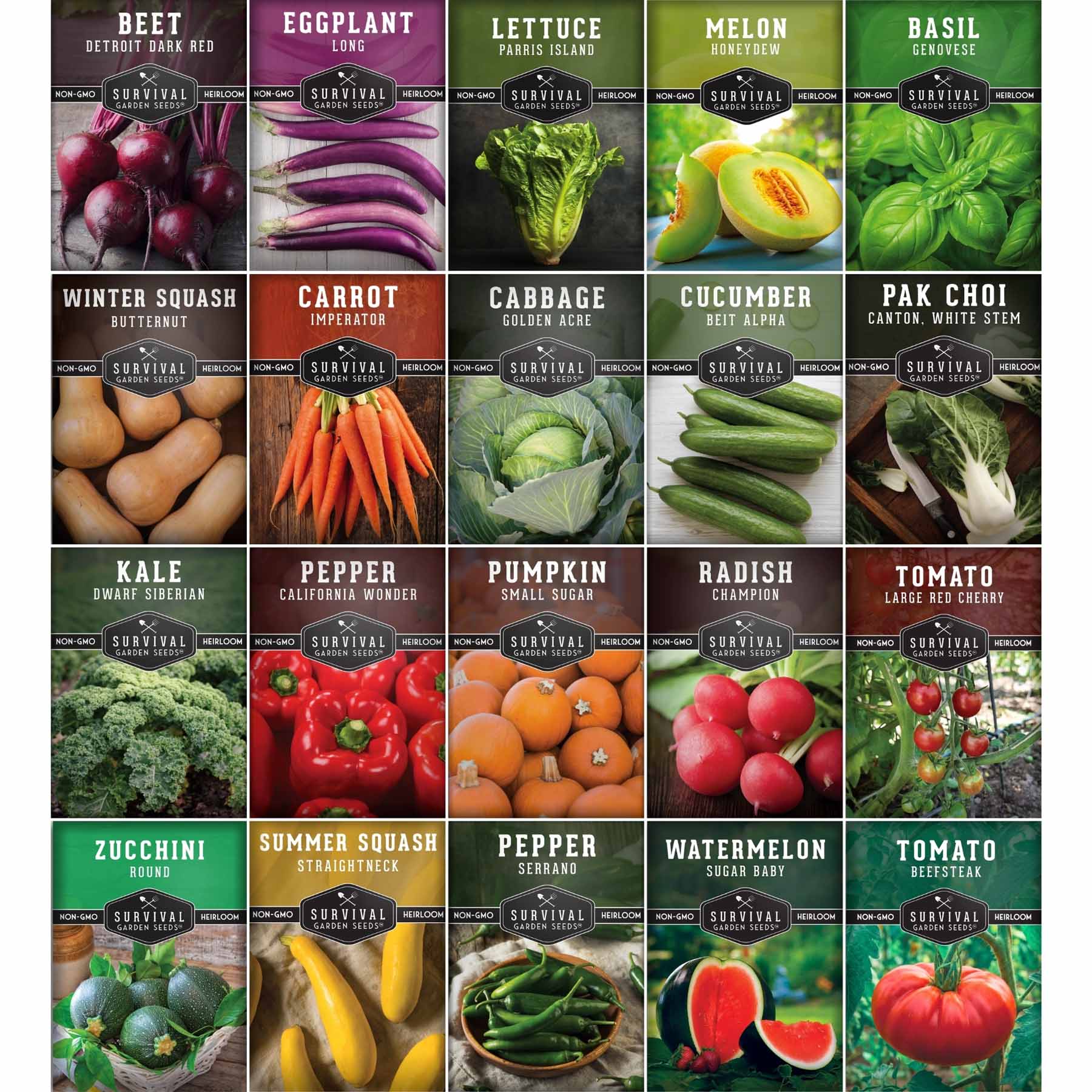20 Variety Vegetable Garden Starter Seed Collection – Non-GMO Heirloom Kit for Beginner-Friendly Home Growing