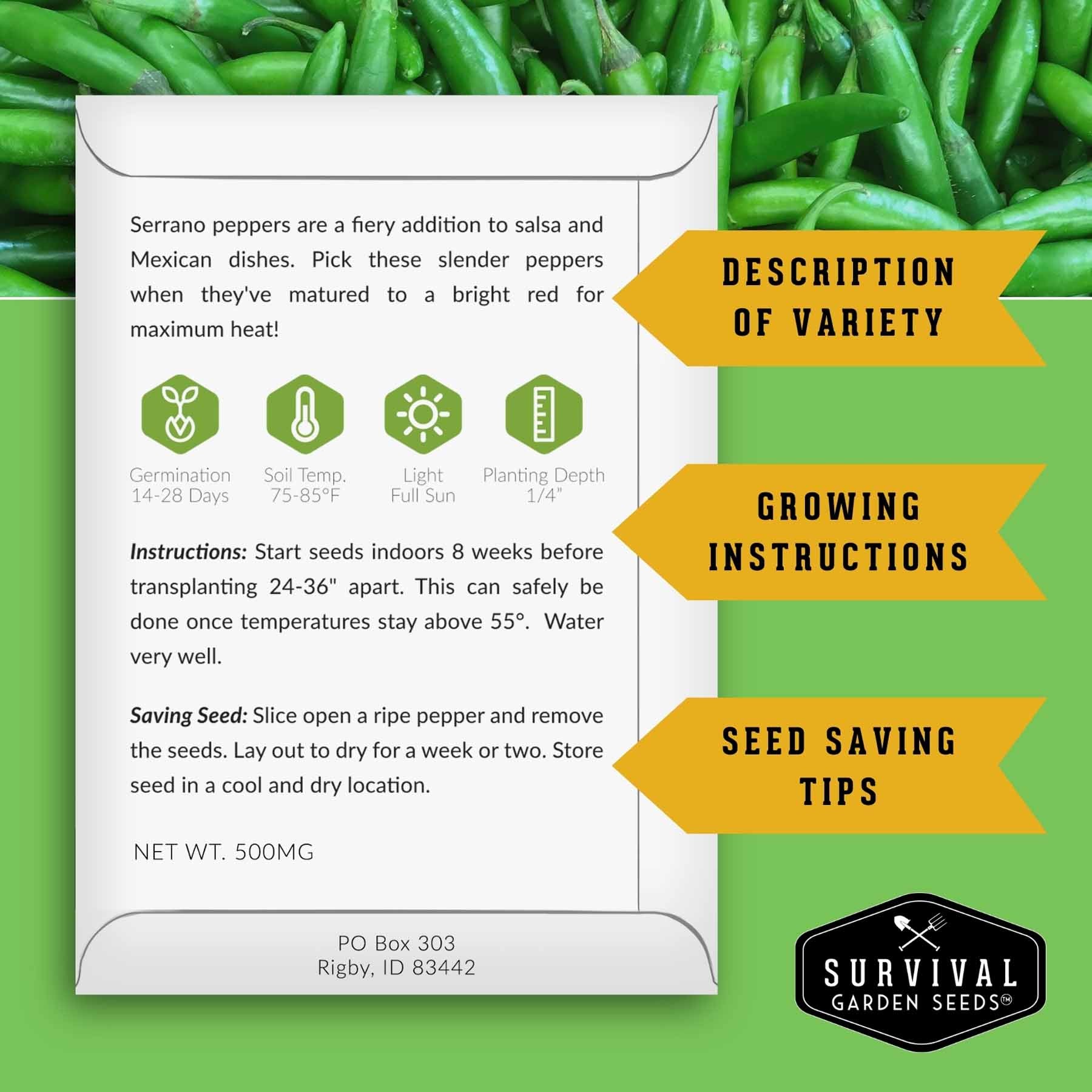 Summer Vegetable Seed Collection – Easy-Growing Tomatoes, Peppers, Beans, Cucumbers, Eggplant & Zucchini