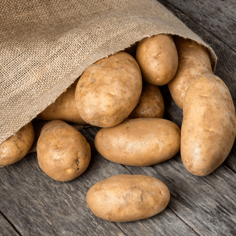 Organic Burbank Russet Seed Potato (lb)