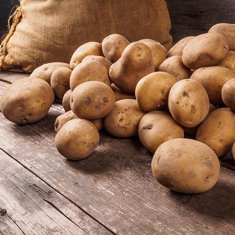 Organic Yukon Gold Seed Potato (lb)